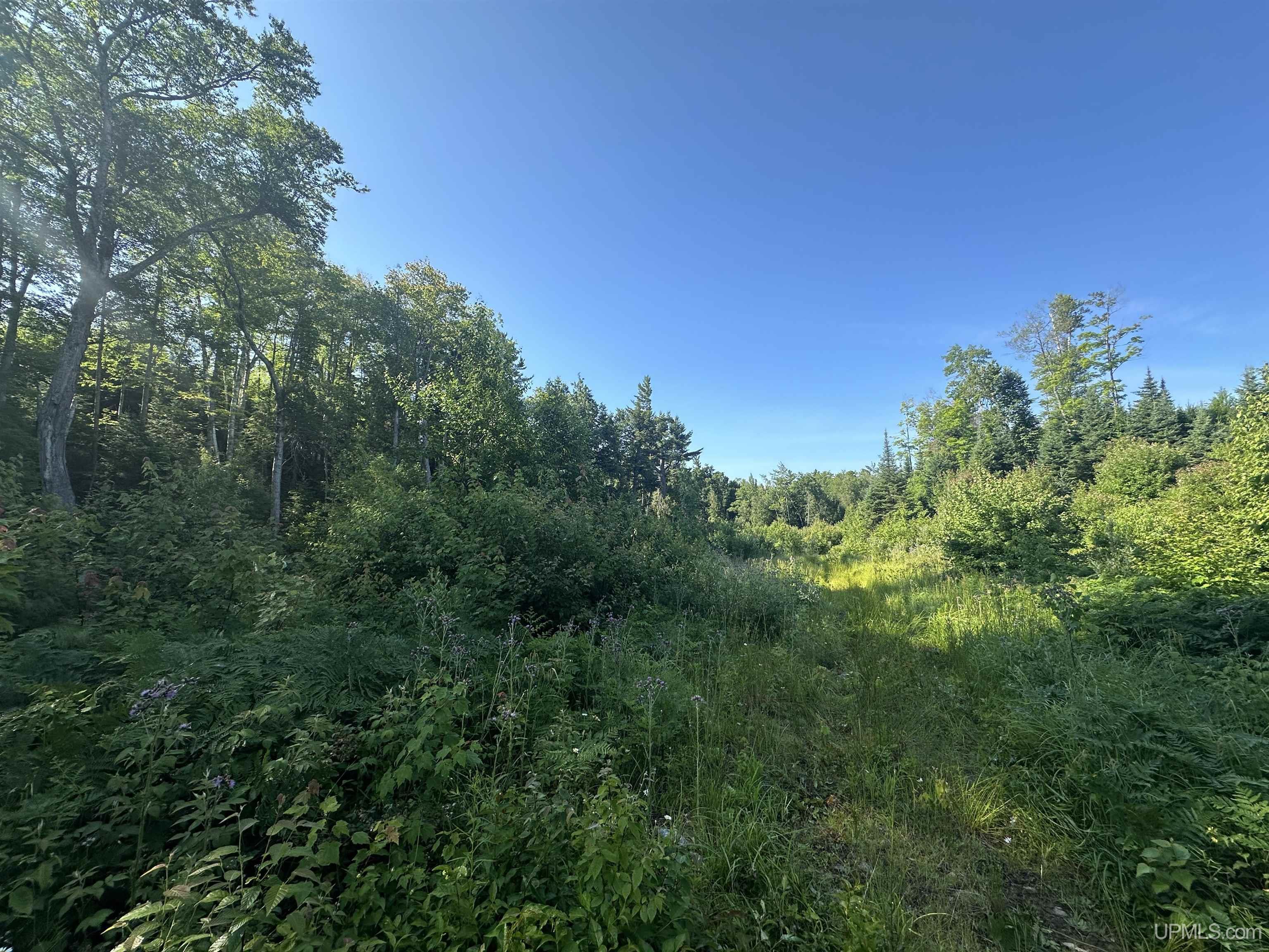 Lake Arvid Off Indian Lake Road photo 12