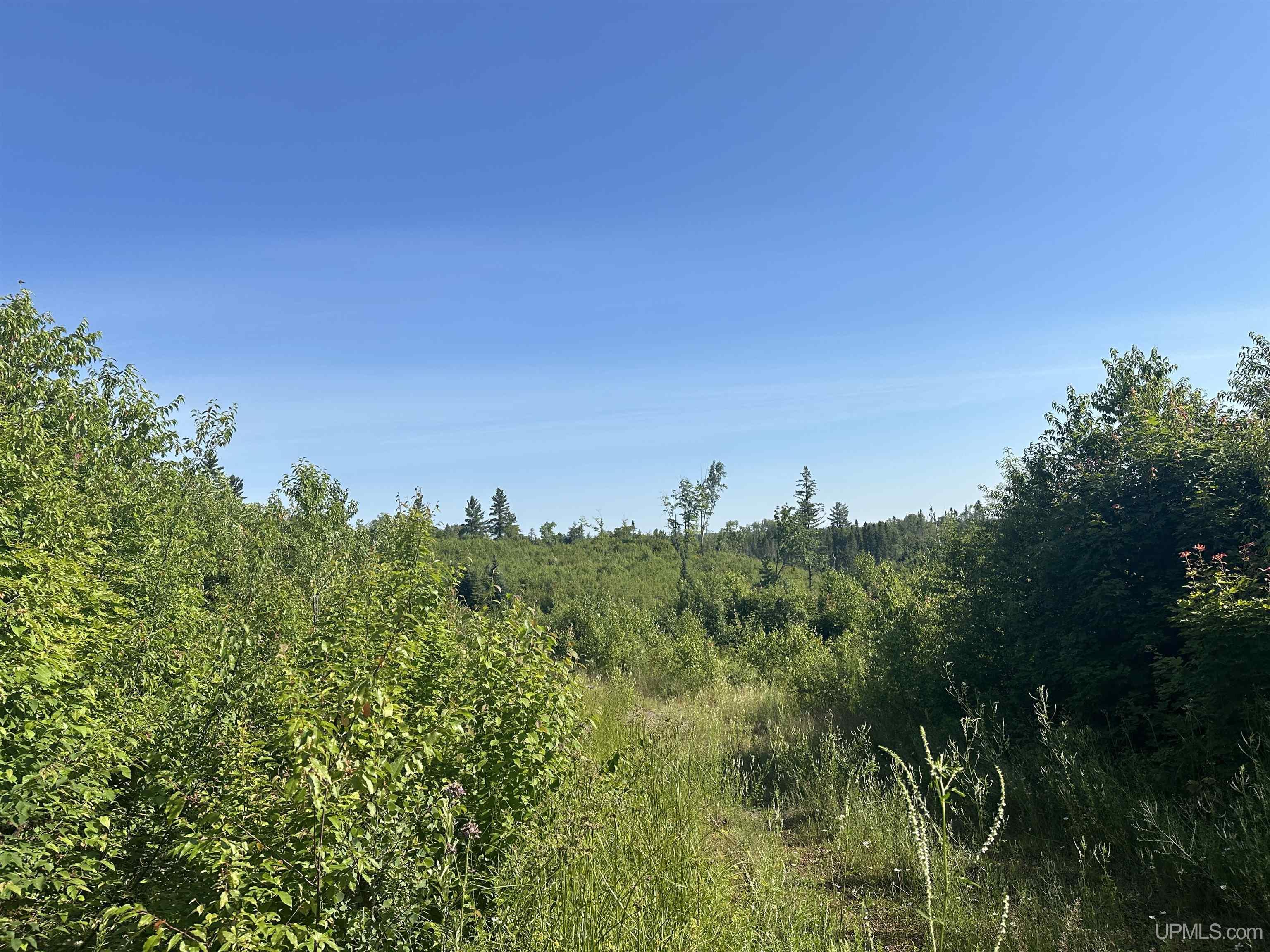 Lake Arvid Off Indian Lake Road photo 13