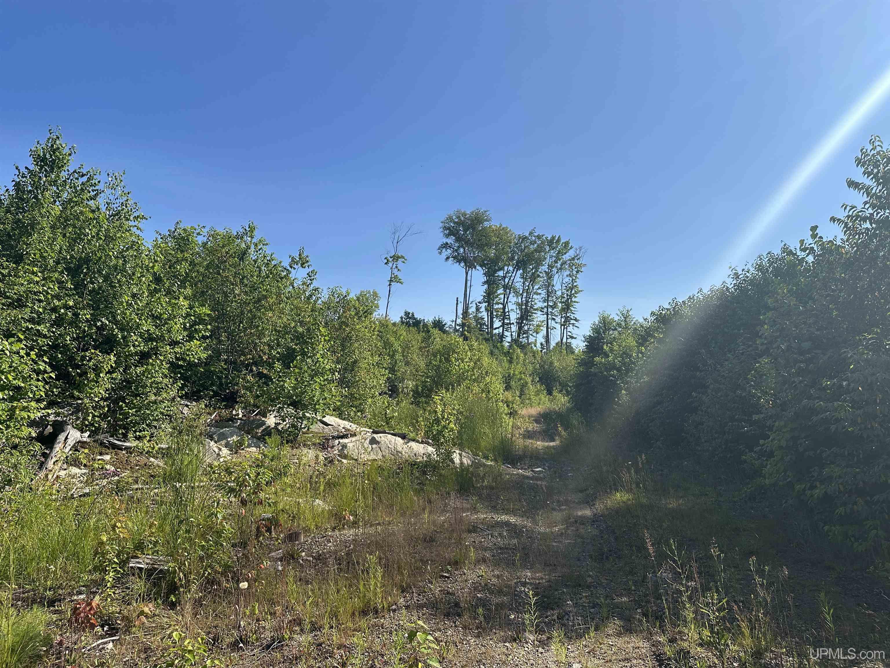 Lake Arvid Off Indian Lake Road photo 14