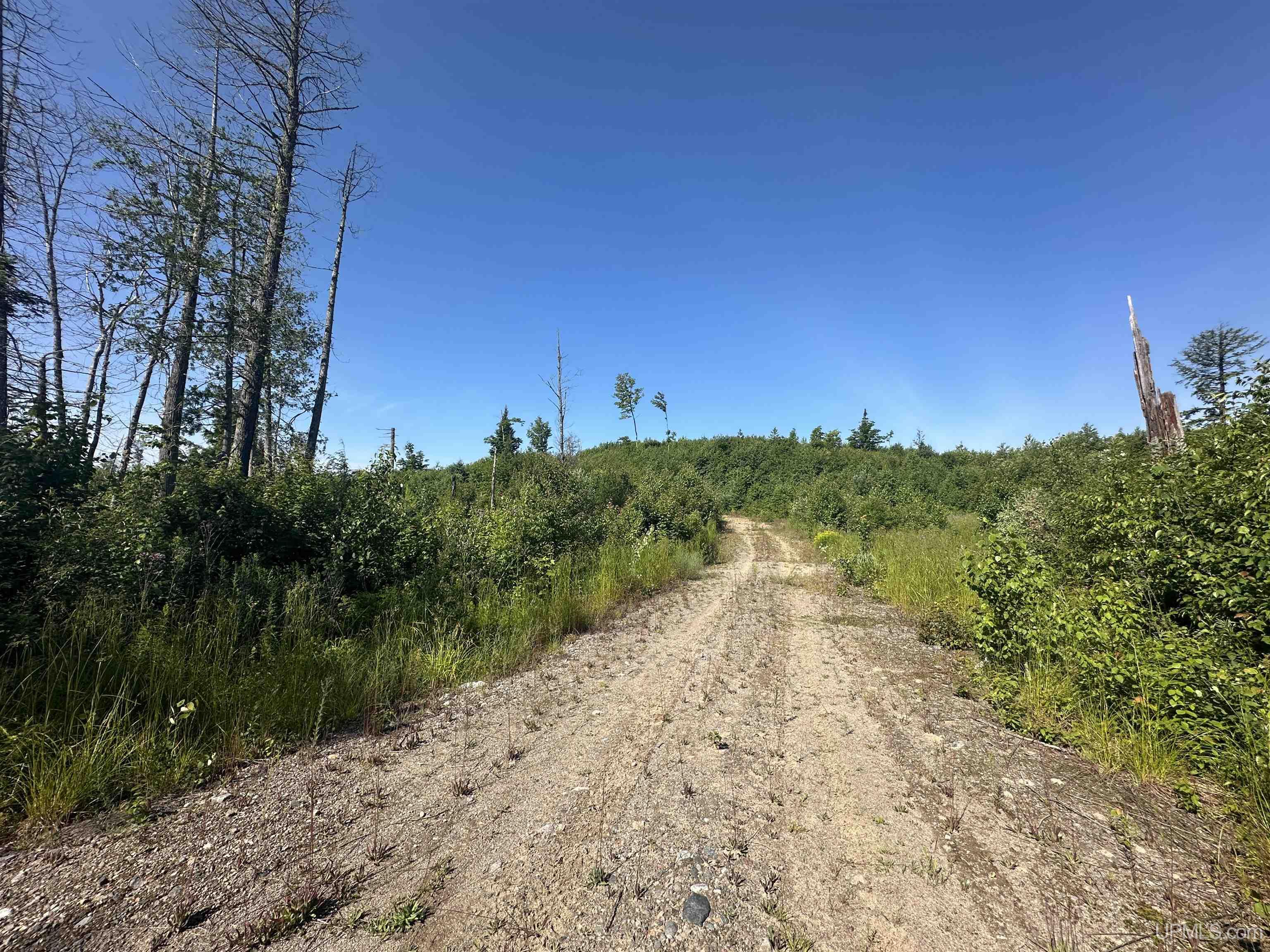 Lake Arvid Off Indian Lake Road photo 16