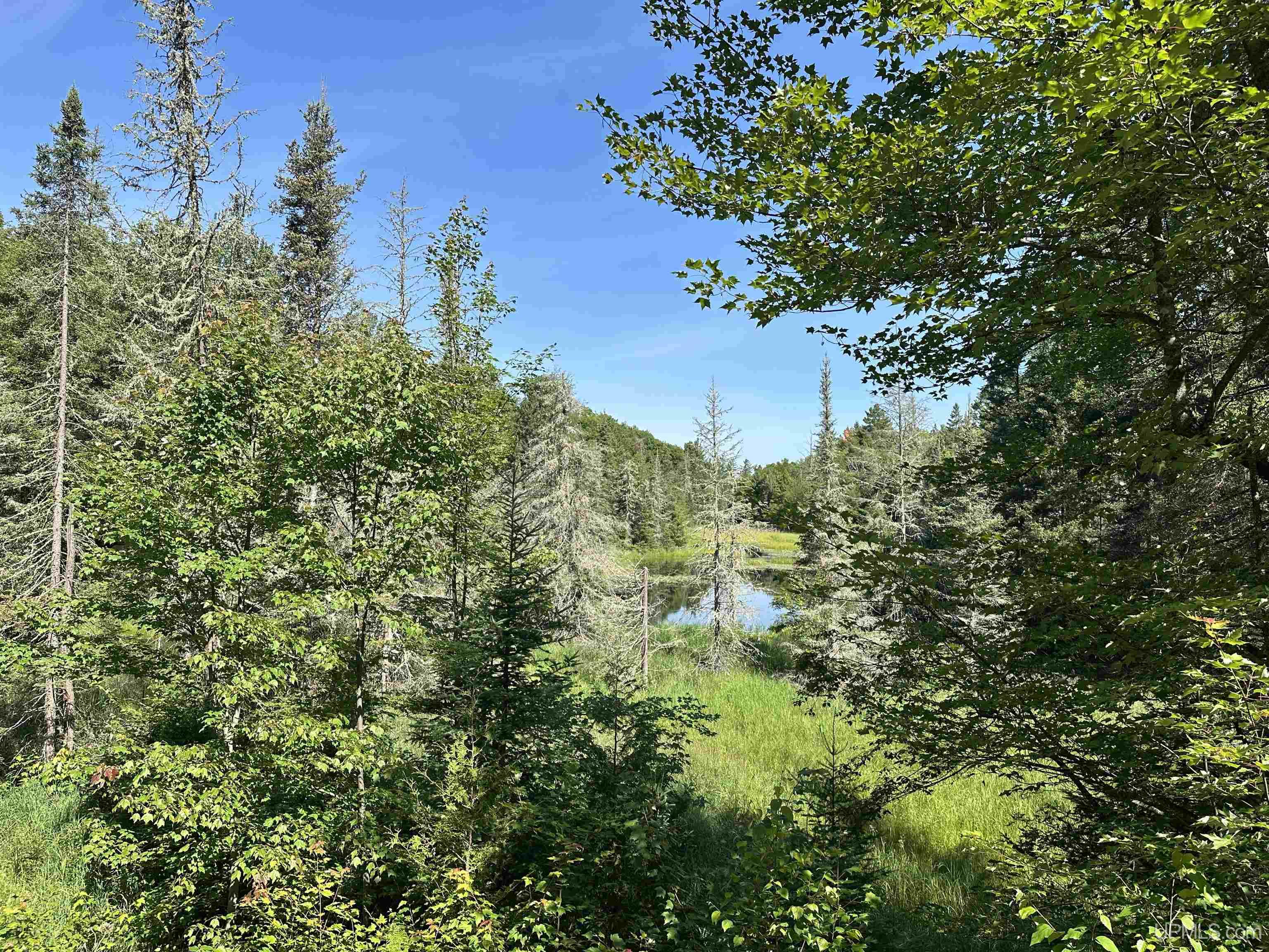 Lake Arvid Off Indian Lake Road photo 18
