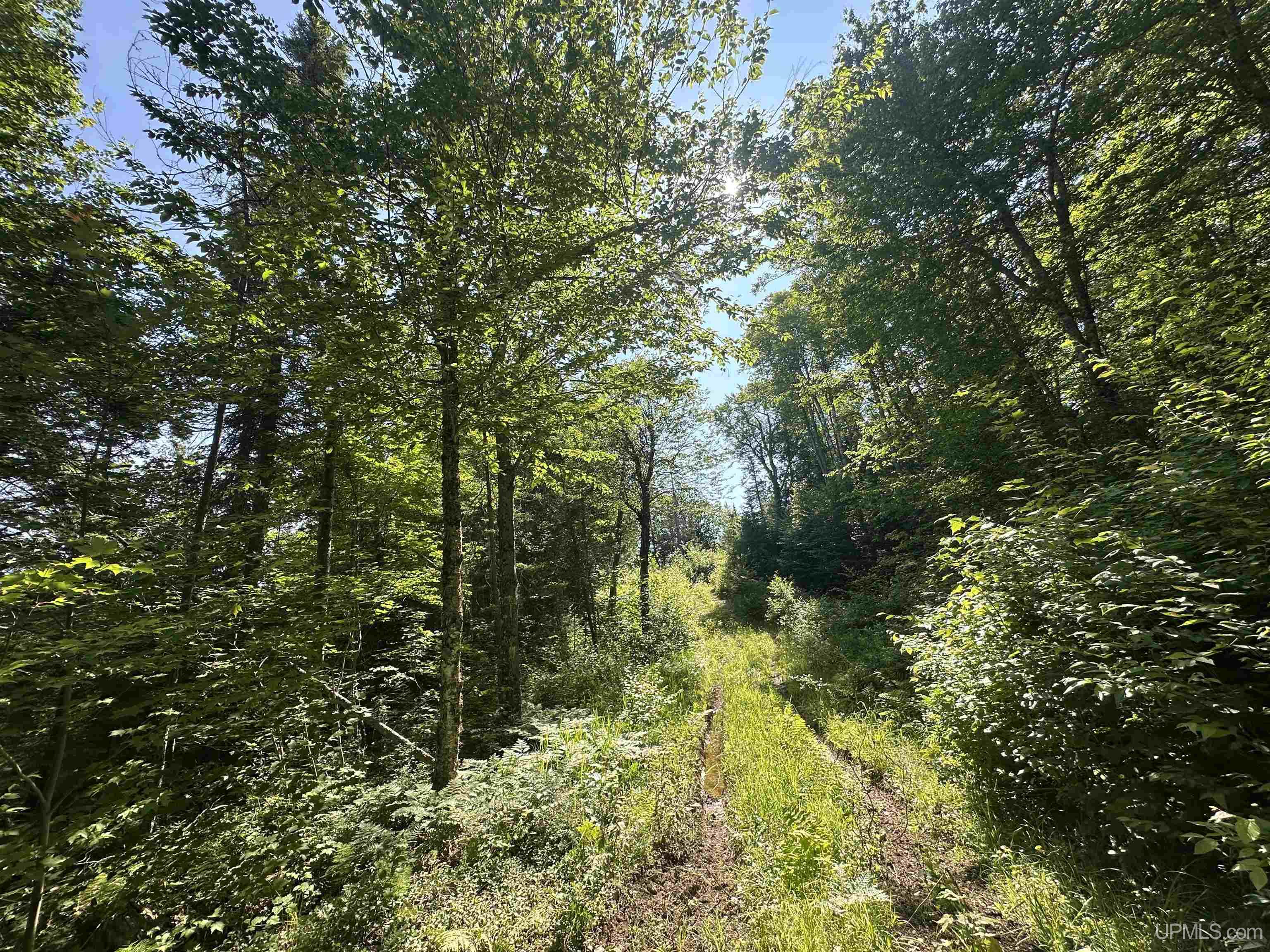 Lake Arvid Off Indian Lake Road photo 19
