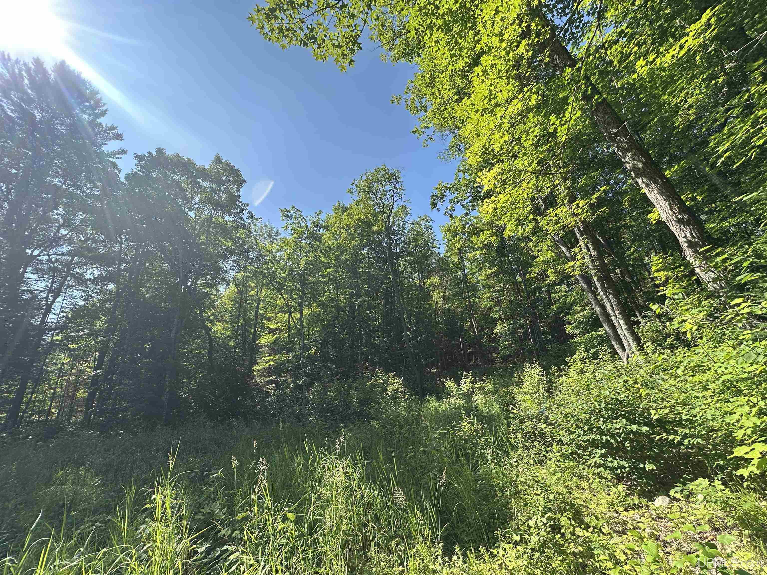 Lake Arvid Off Indian Lake Road photo 20