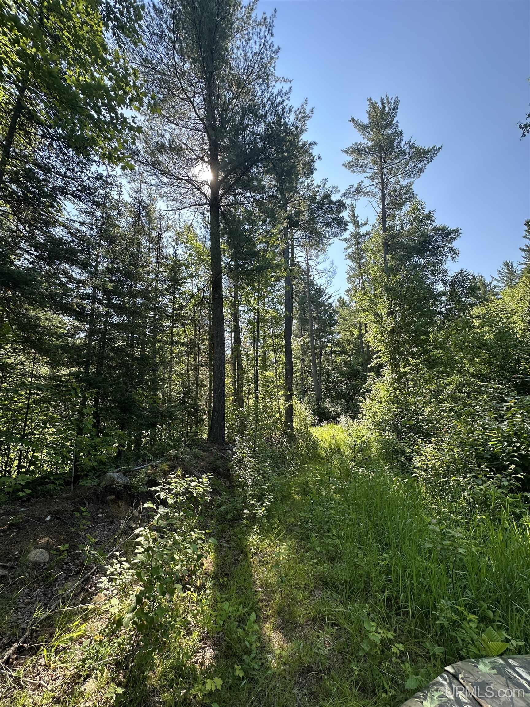 Lake Arvid Off Indian Lake Road photo 21