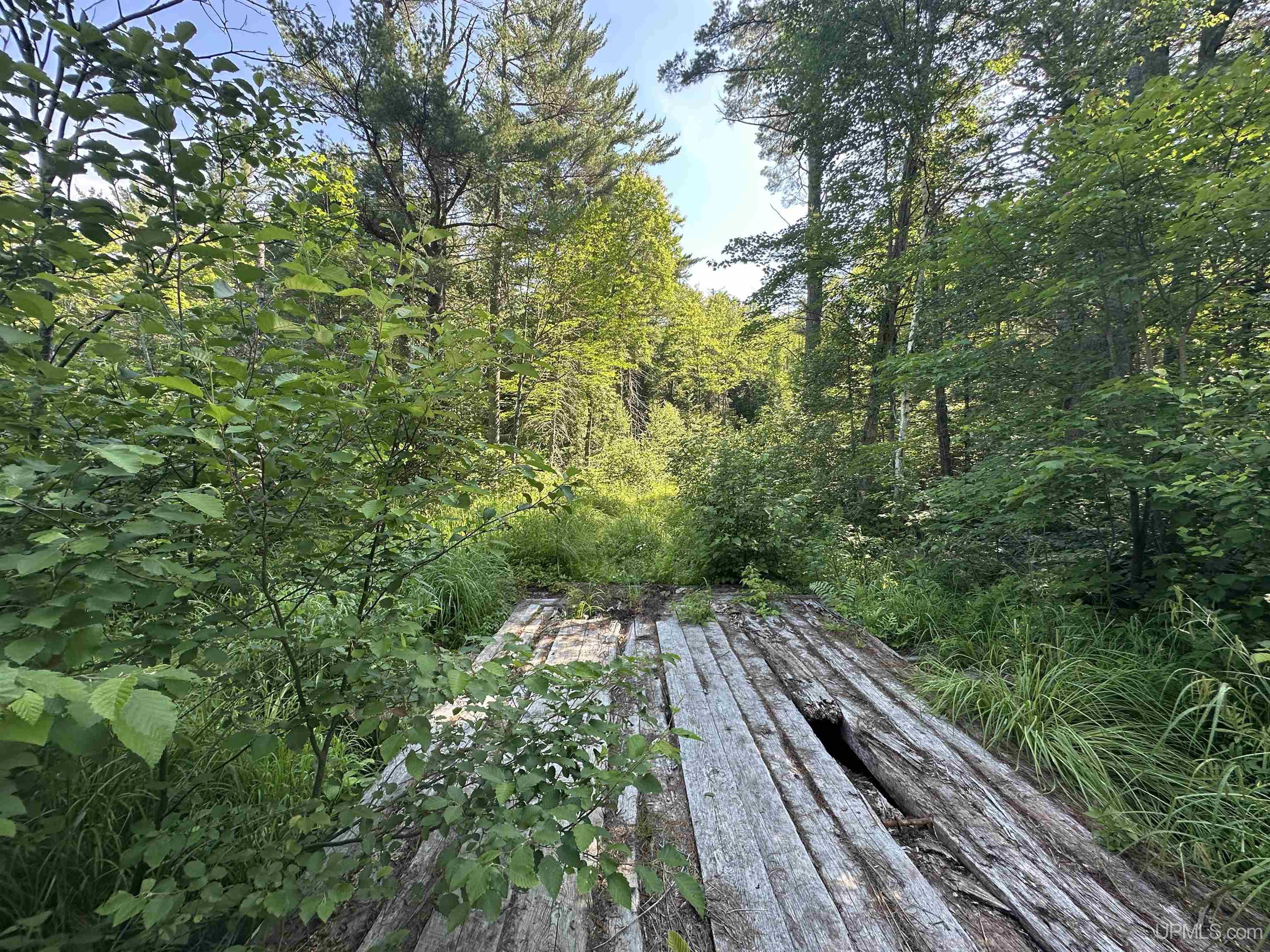 Lake Arvid Off Indian Lake Road photo 22