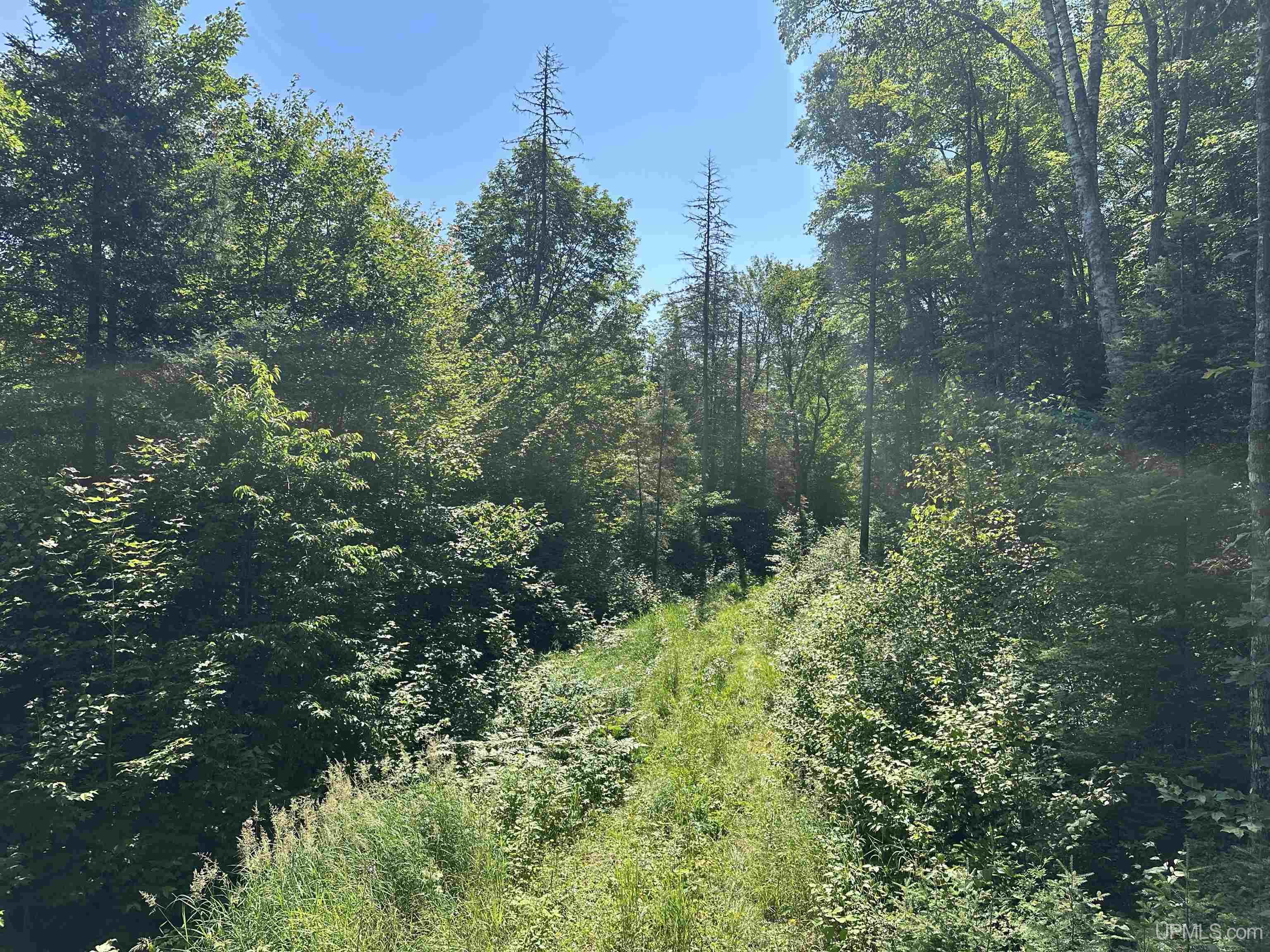 Lake Arvid Off Indian Lake Road photo 27