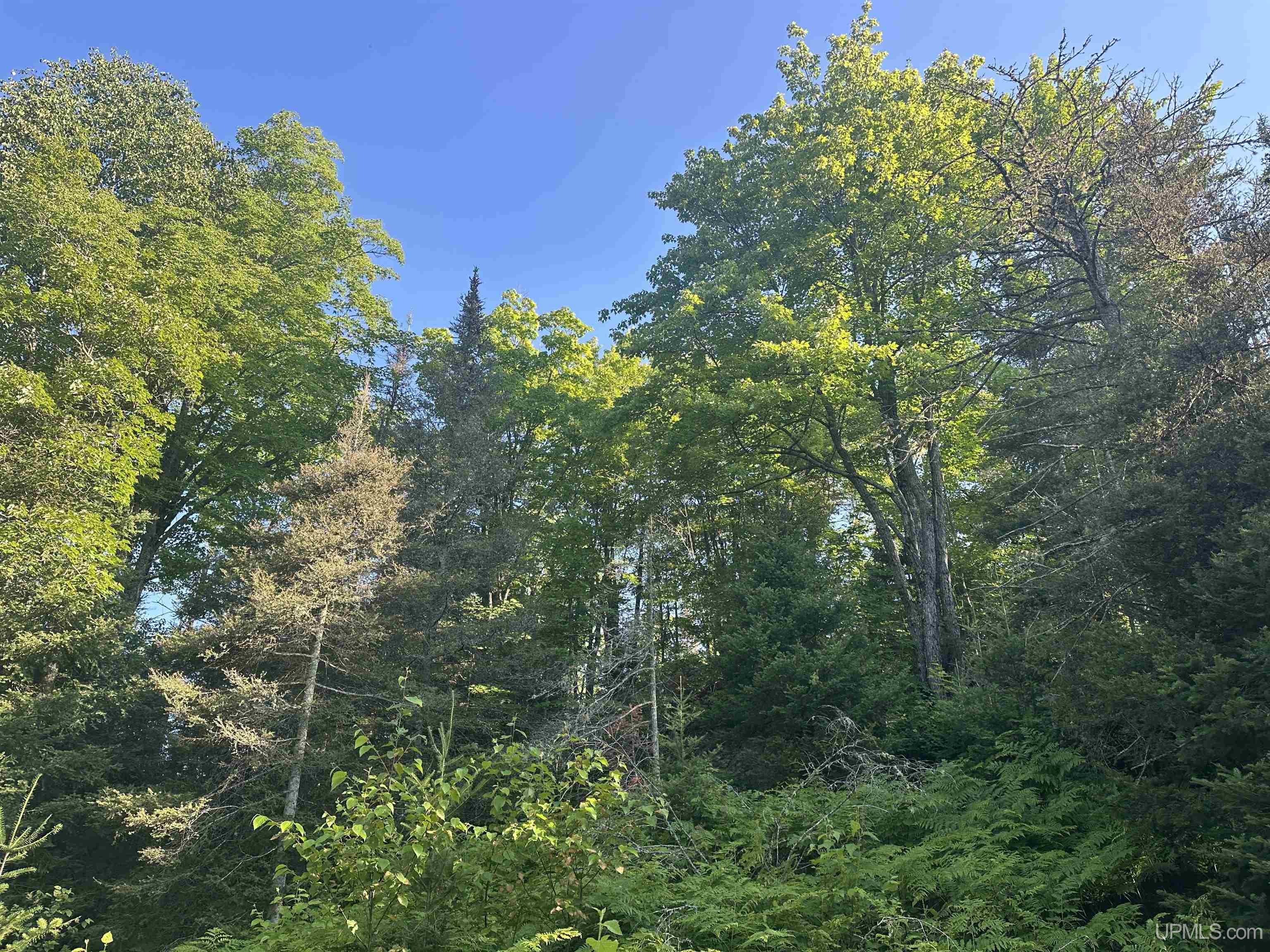 Homes for sale in Michigamme, MI | Off Indian Lake Rd, Michigamme, MI 49861 | MLS# 50194480