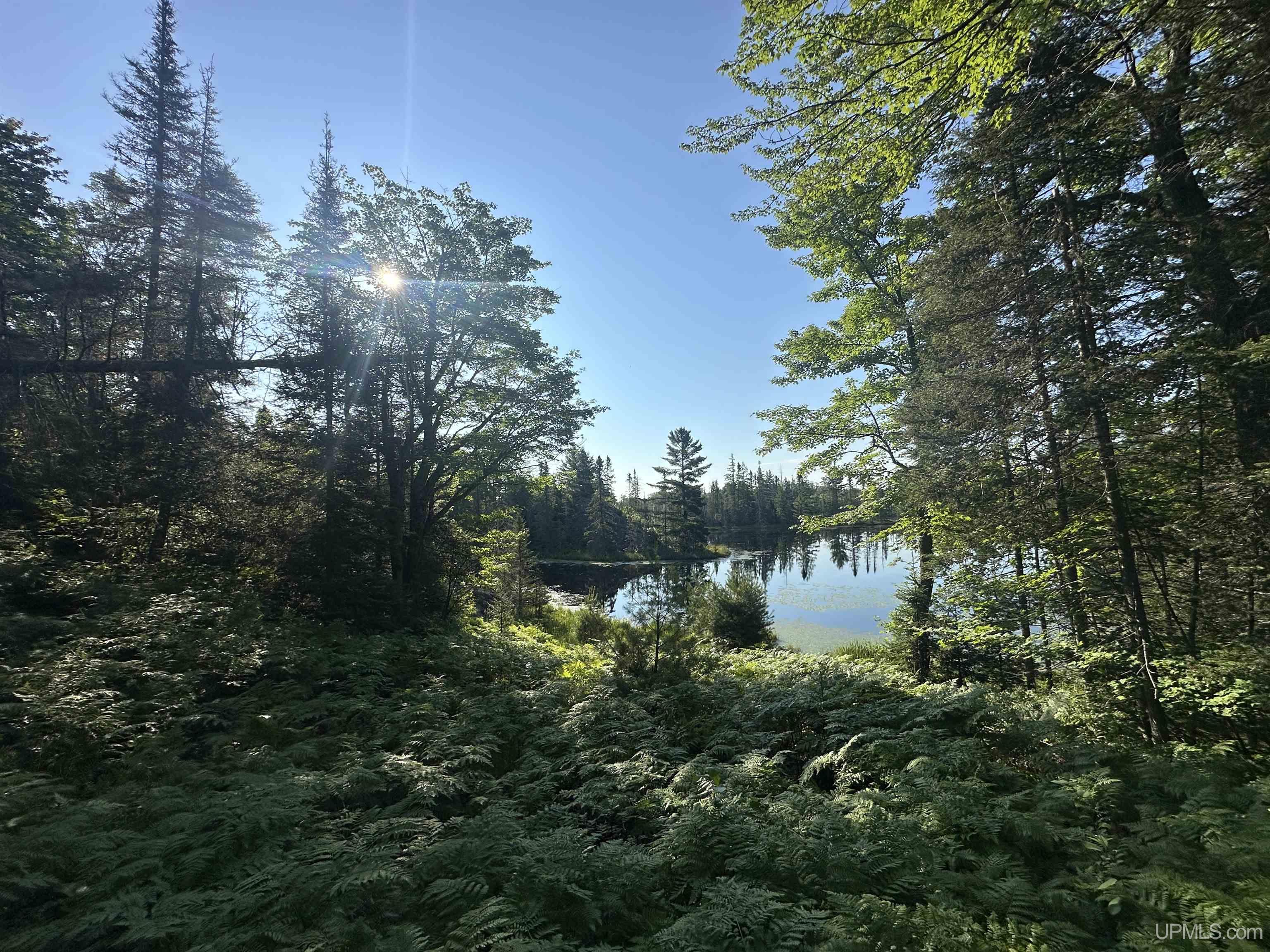 Lake Arvid Off Indian Lake Road photo 7