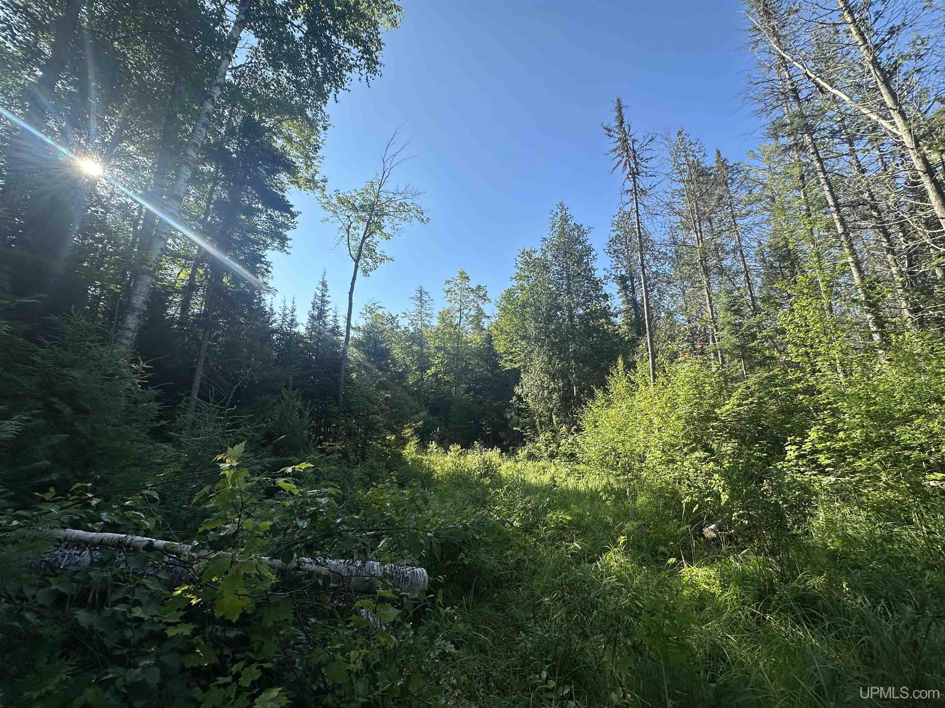 Lake Arvid Off Indian Lake Road photo 8