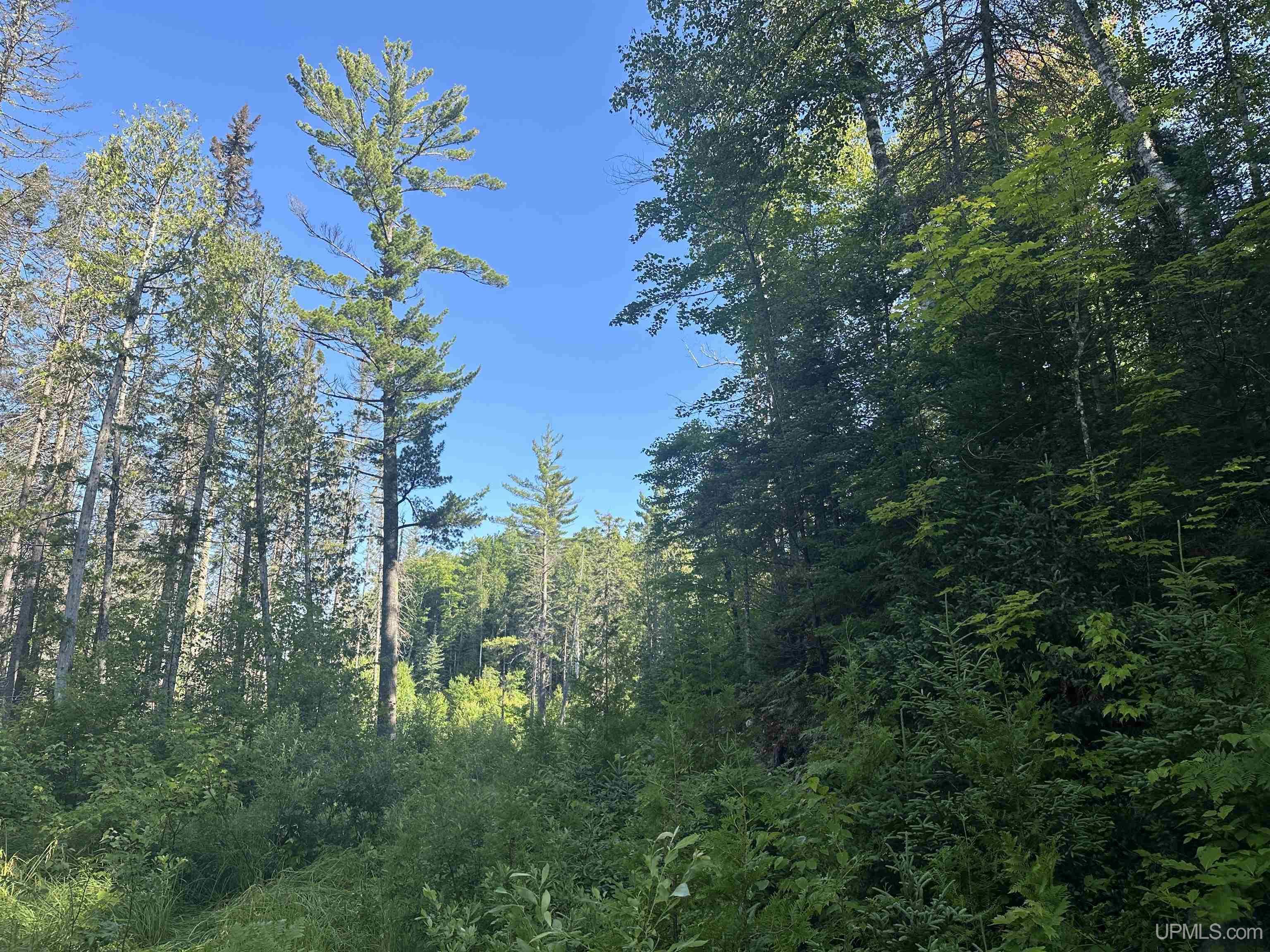 Lake Arvid Off Indian Lake Road photo 9