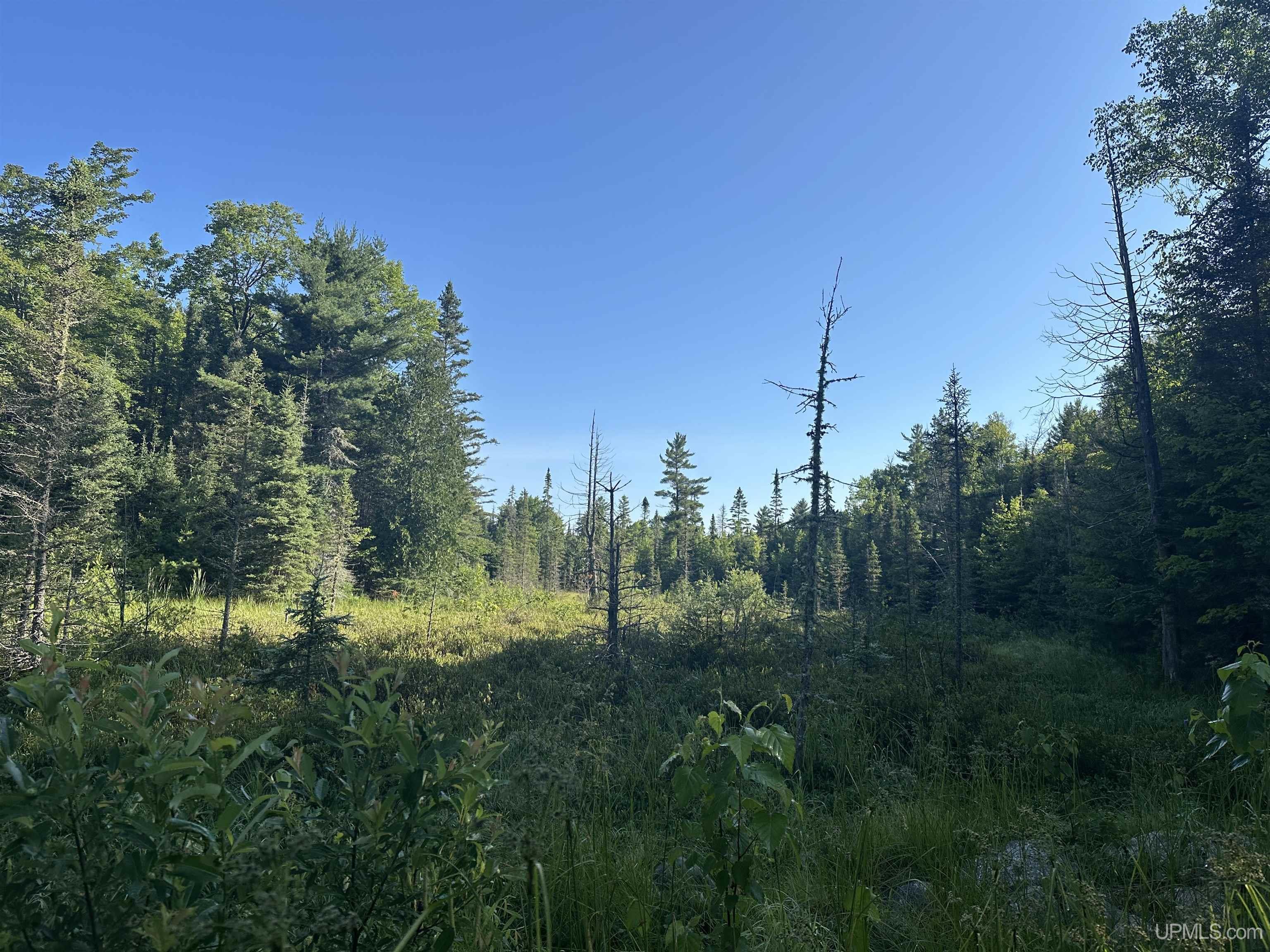 Lake Arvid Off Indian Lake Road photo 10