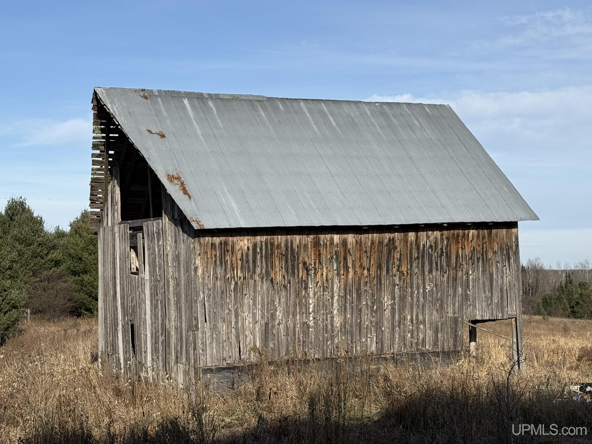 50194556