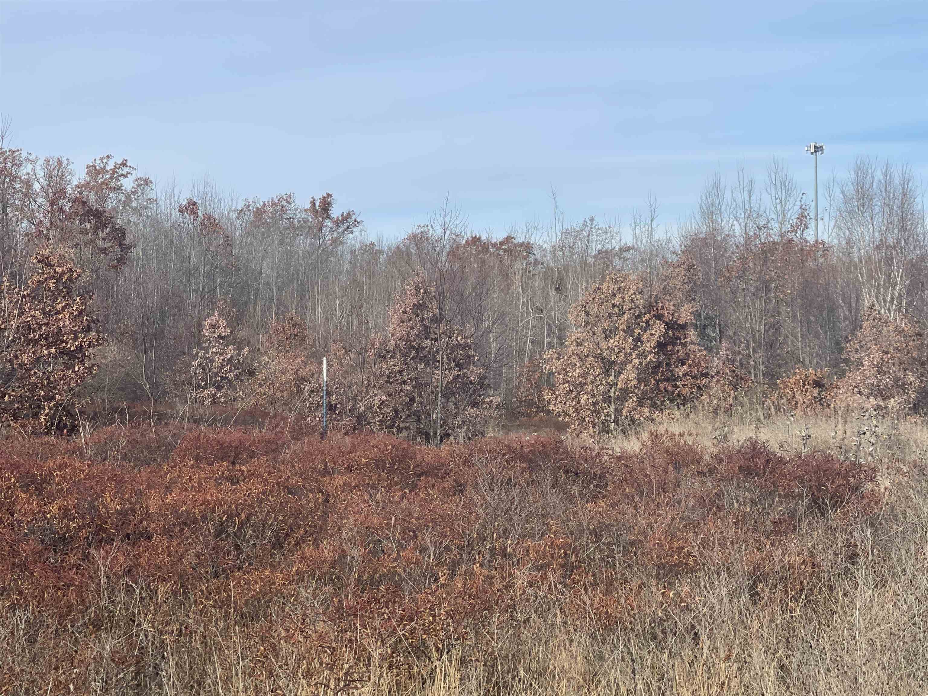 TBD N Clare Avenue, Harrison, MI, 48625