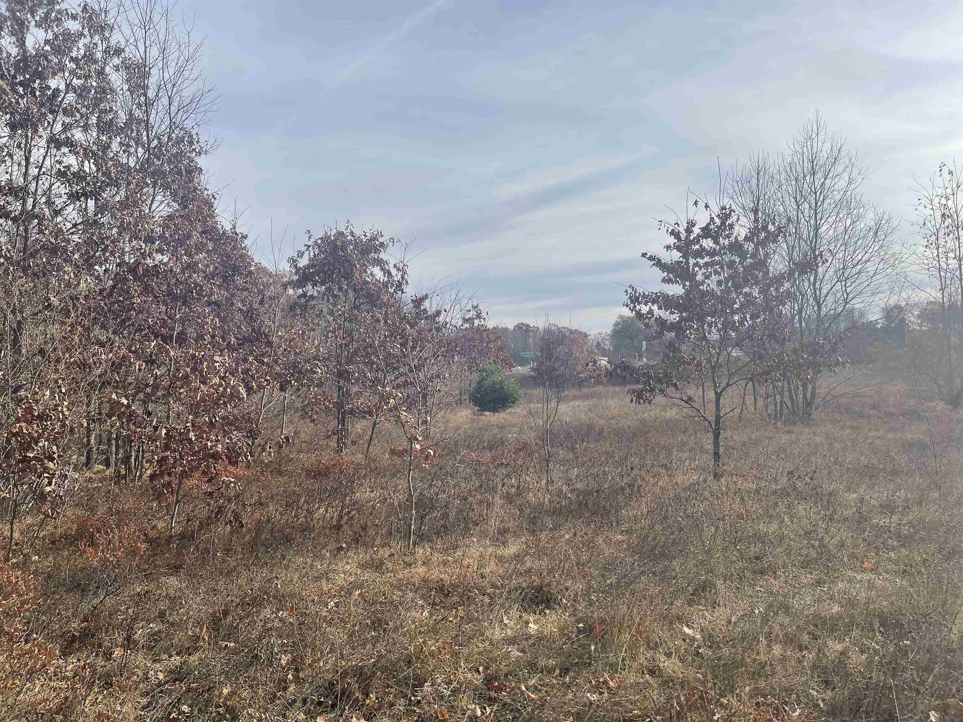 TBD N Clare Avenue, Harrison, MI, 48625
