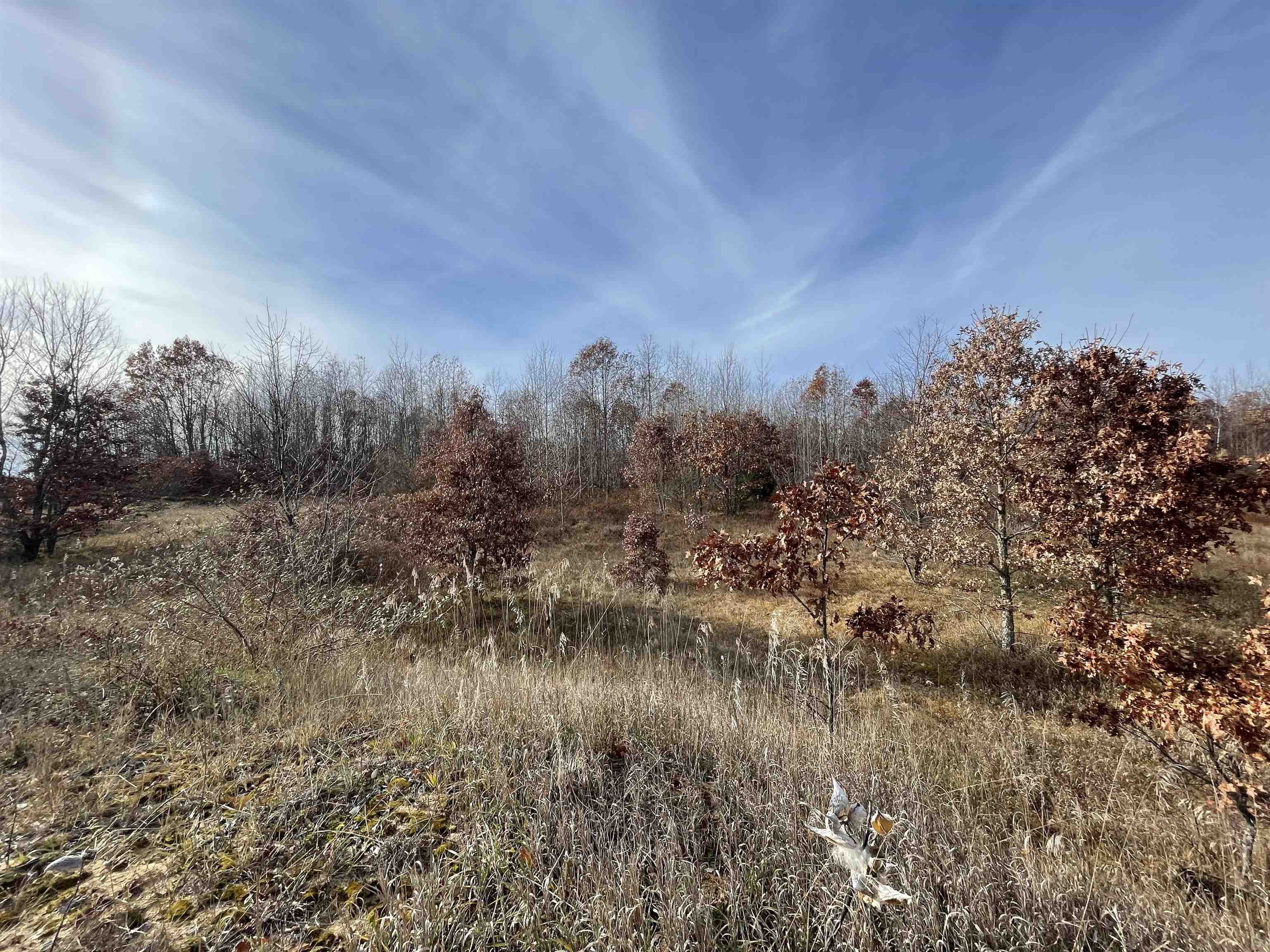 TBD N Clare Avenue, Harrison, MI, 48625
