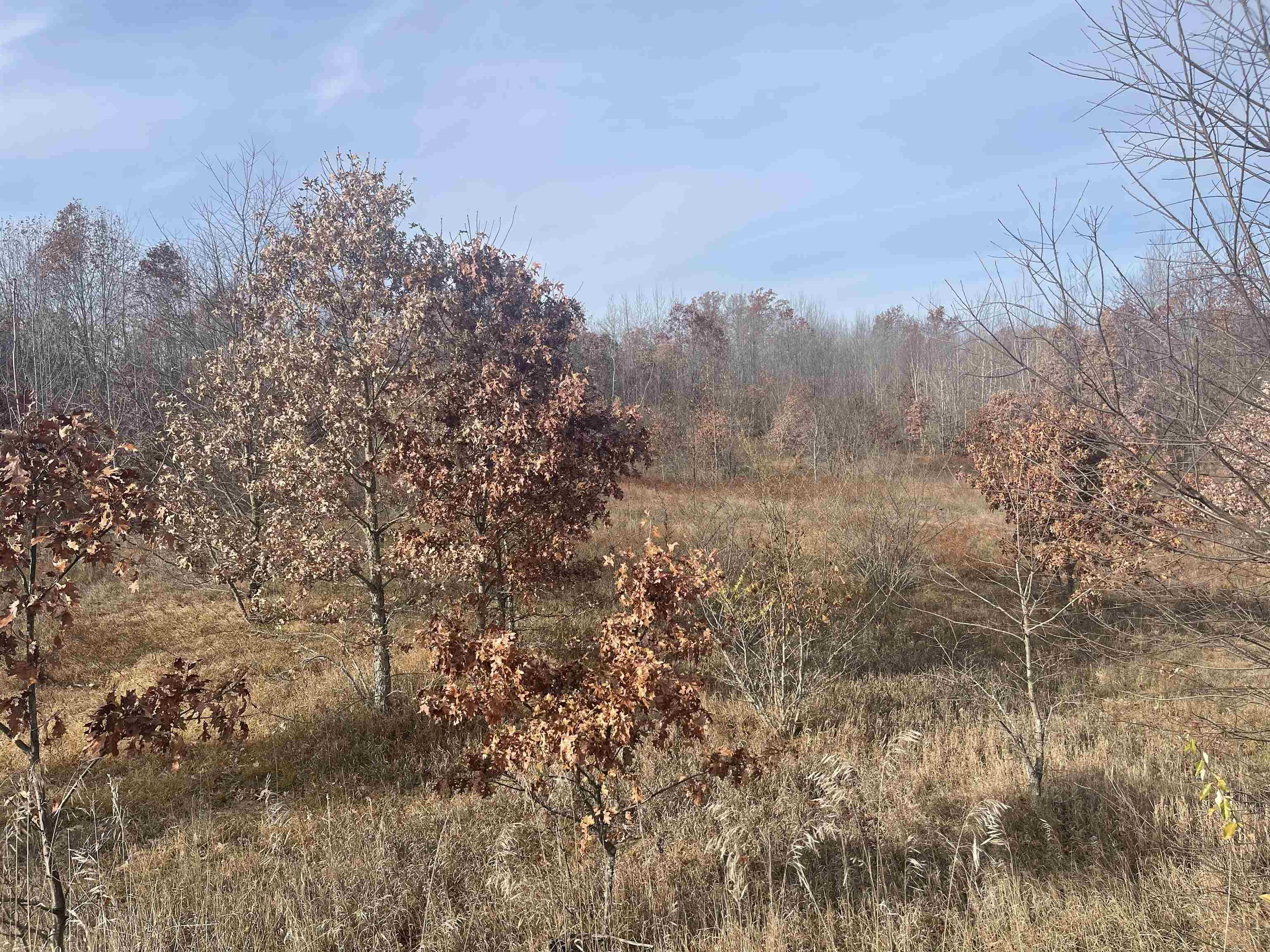TBD N Clare Avenue, Harrison, MI, 48625