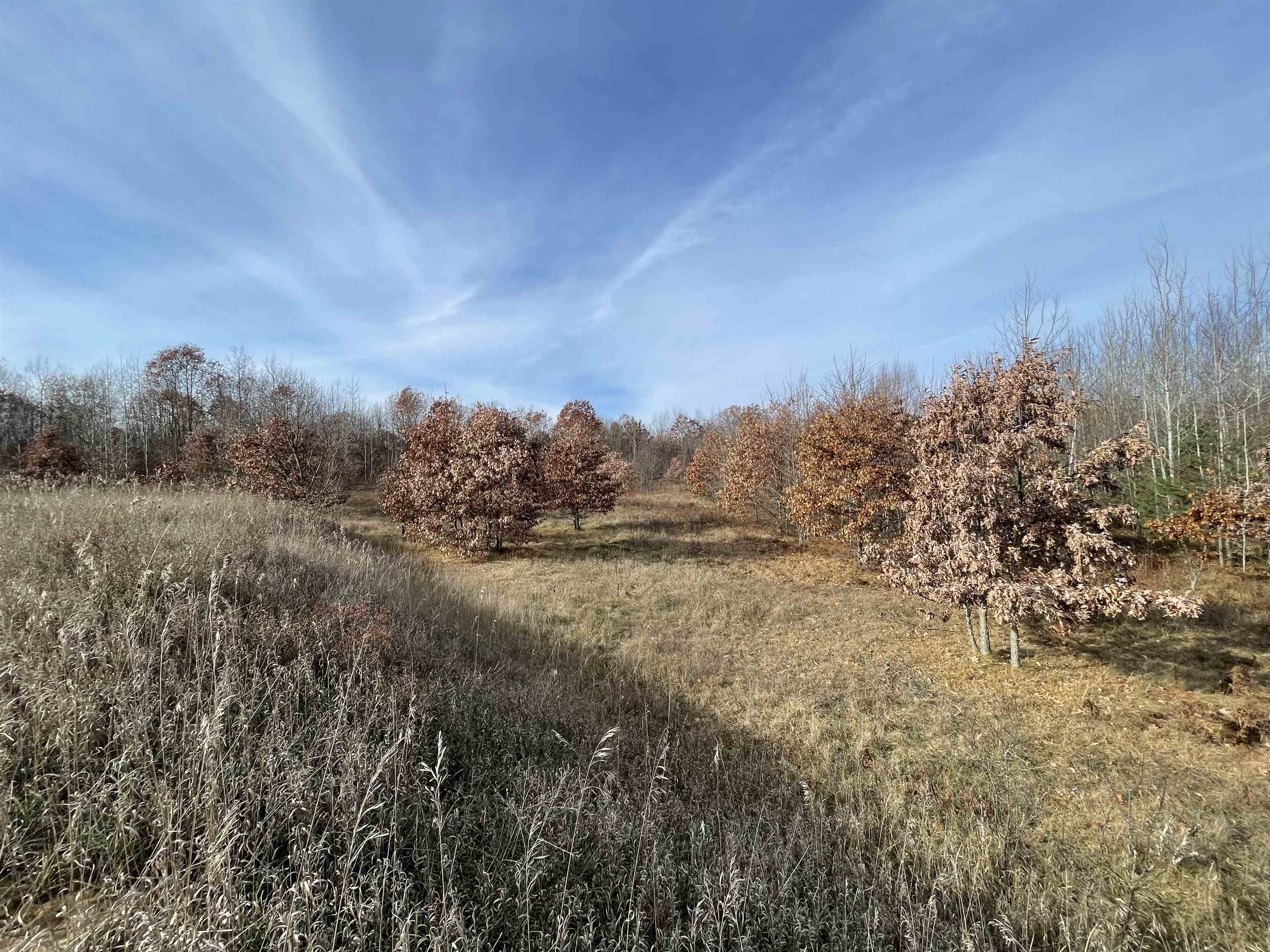 TBD N Clare Avenue, Harrison, MI, 48625