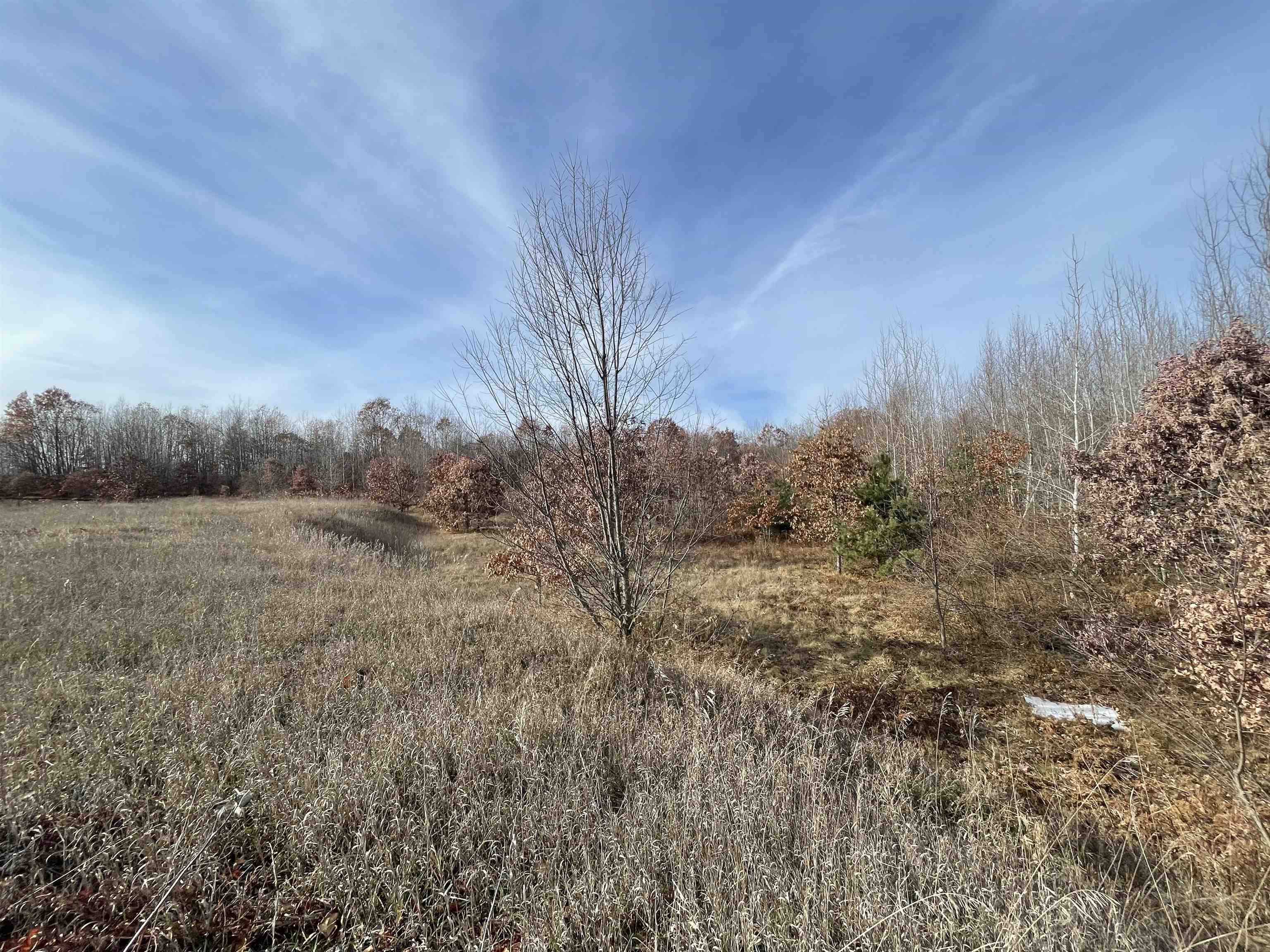 TBD N Clare Avenue, Harrison, MI, 48625