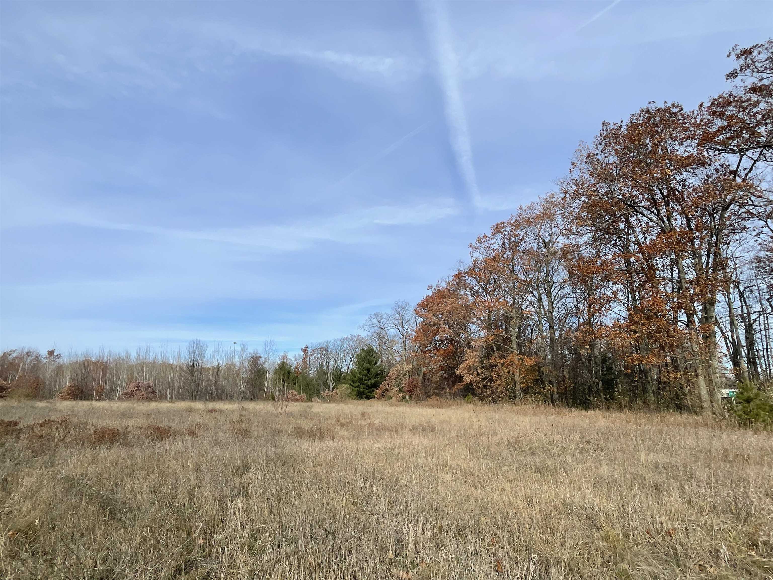 TBD N Clare Avenue, Harrison, MI, 48625