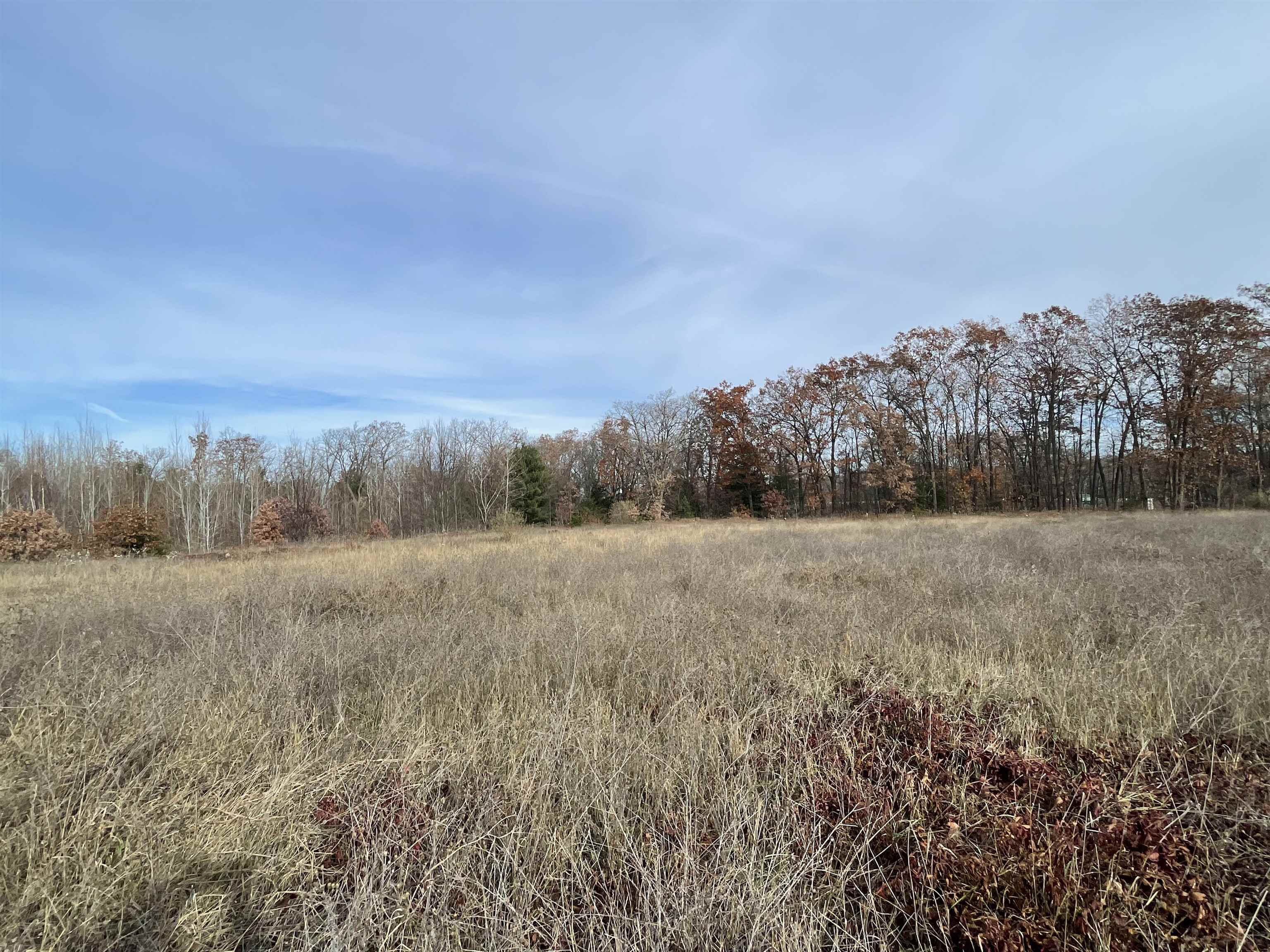 TBD N Clare Avenue, Harrison, MI, 48625