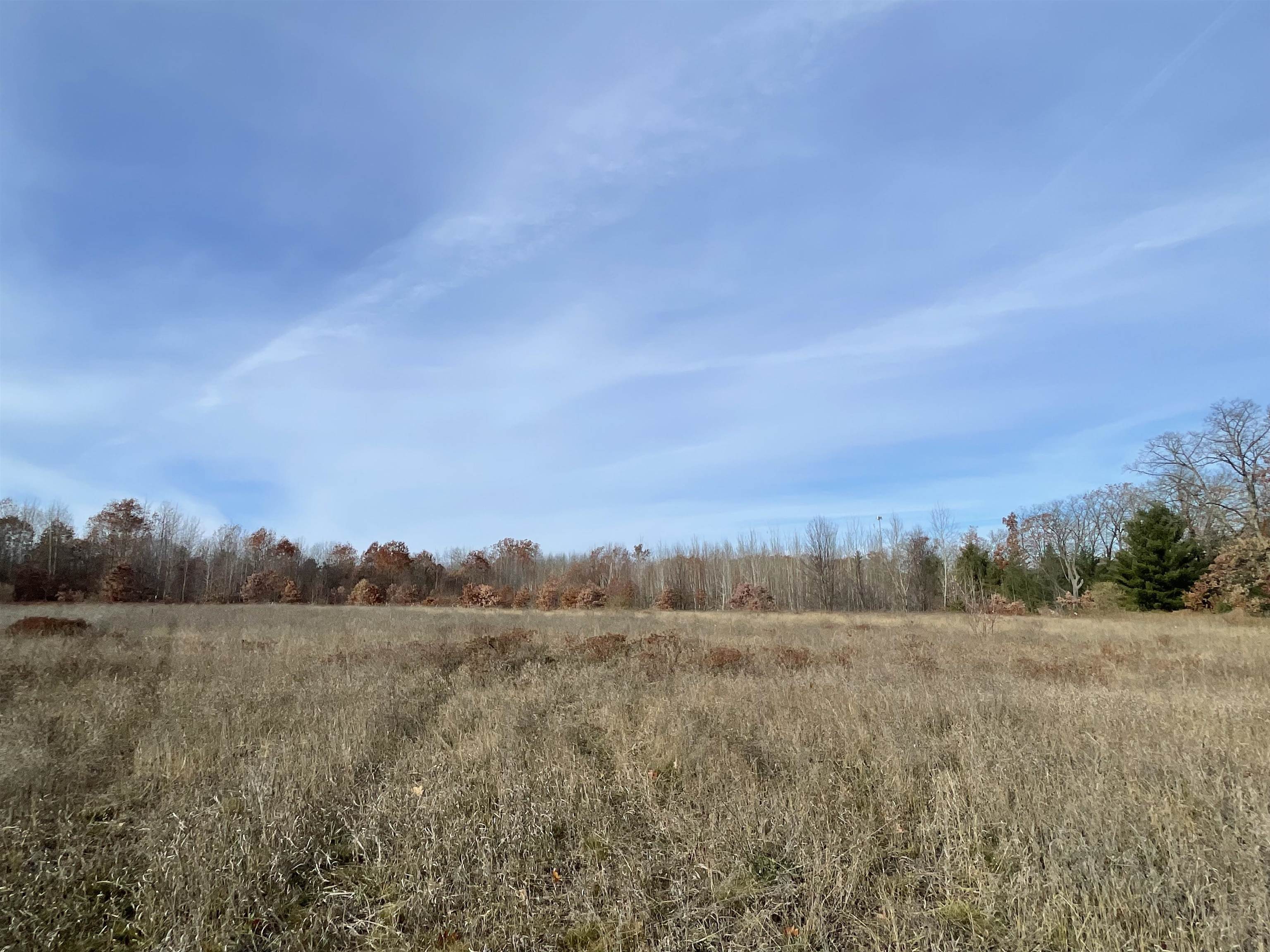 TBD N Clare Avenue, Harrison, MI, 48625