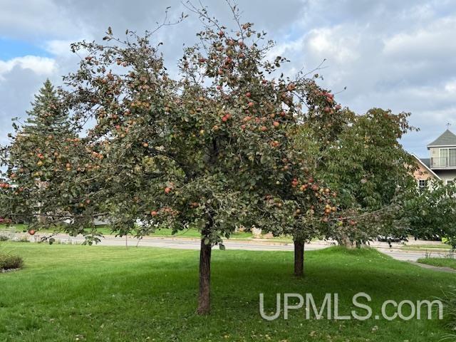 118 S Fifth Street, Crystal Falls, MI, 49920