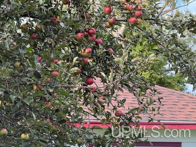 118 S Fifth Street, Crystal Falls, MI, 49920