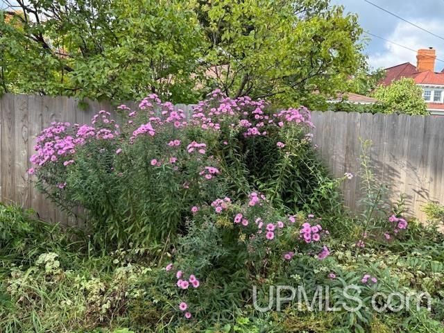 118 S Fifth Street, Crystal Falls, MI, 49920