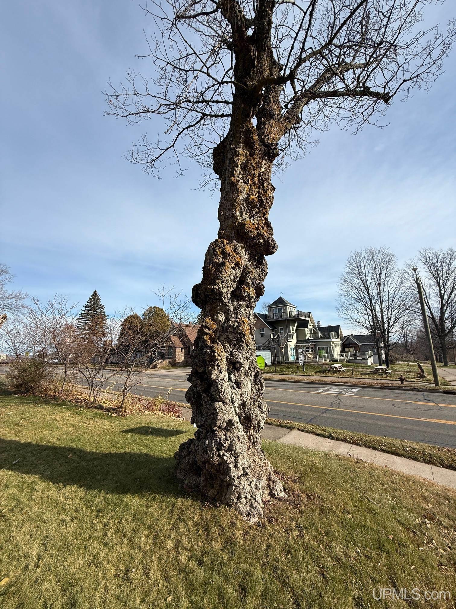 118 S Fifth Street, Crystal Falls, MI, 49920