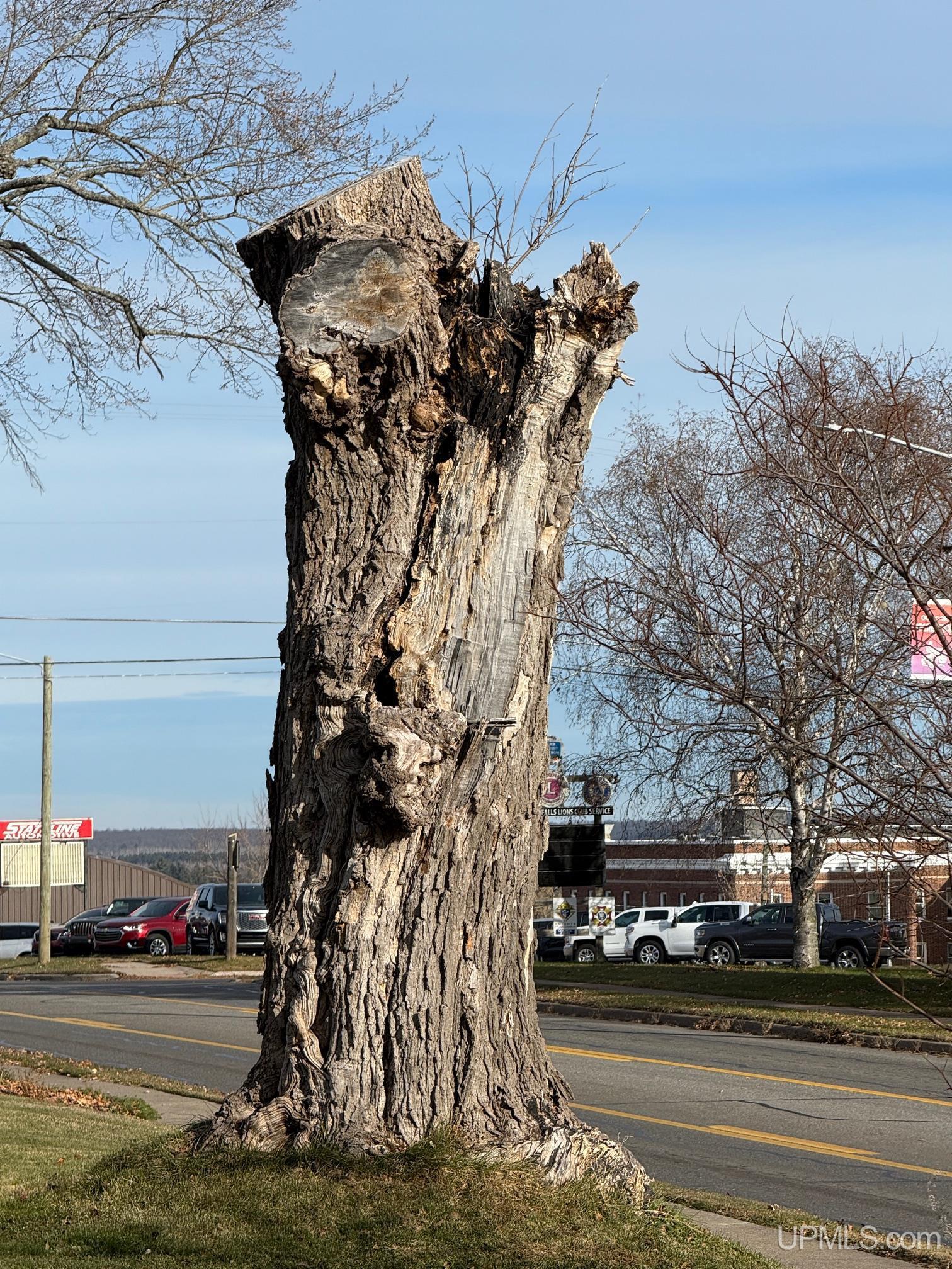 118 S Fifth Street, Crystal Falls, MI, 49920