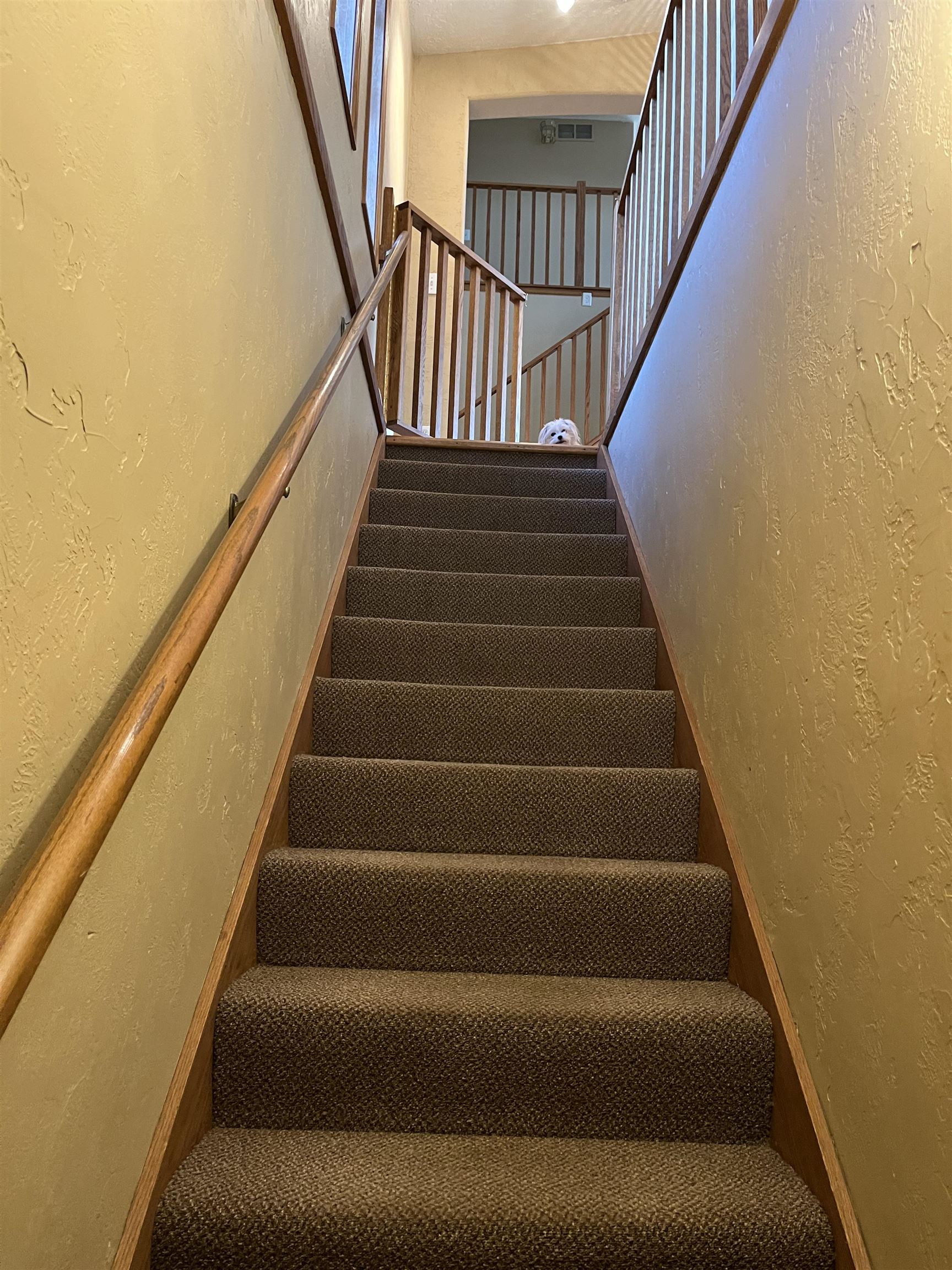 3815 Roehrs Road, Beaverton, MI, 48612