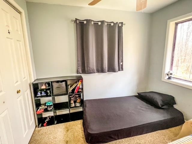 5154 Fairview Drive, Harrison, MI, 48625