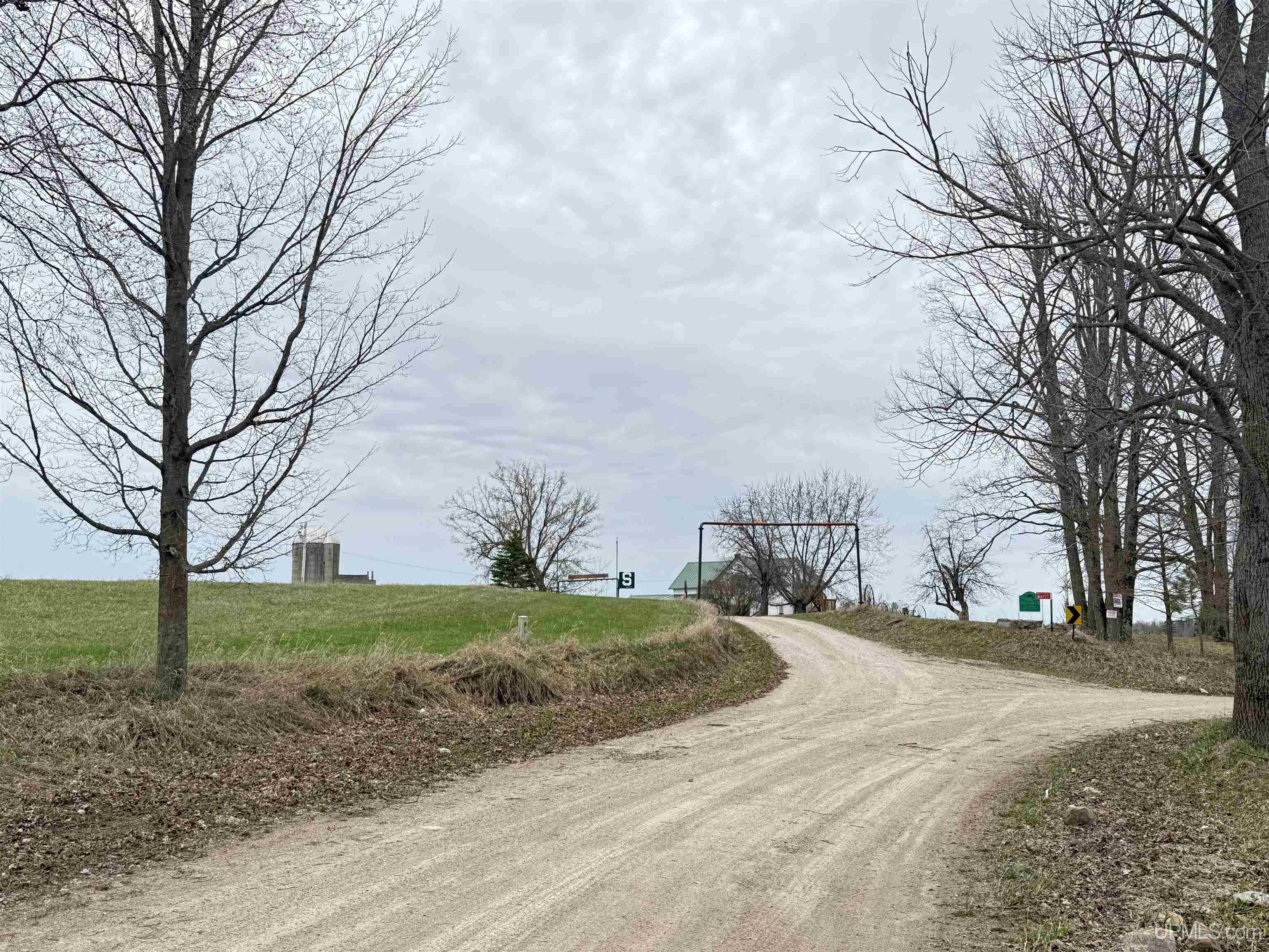 1267 Webster Street, Birmingham, MI, 48009 7089