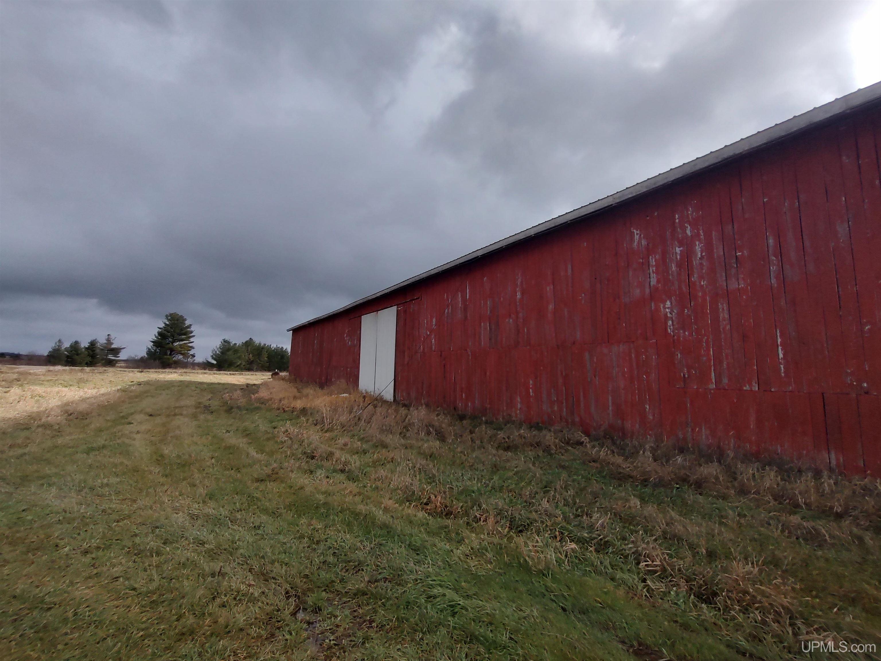 MLS 50195629 Large photo number 9 