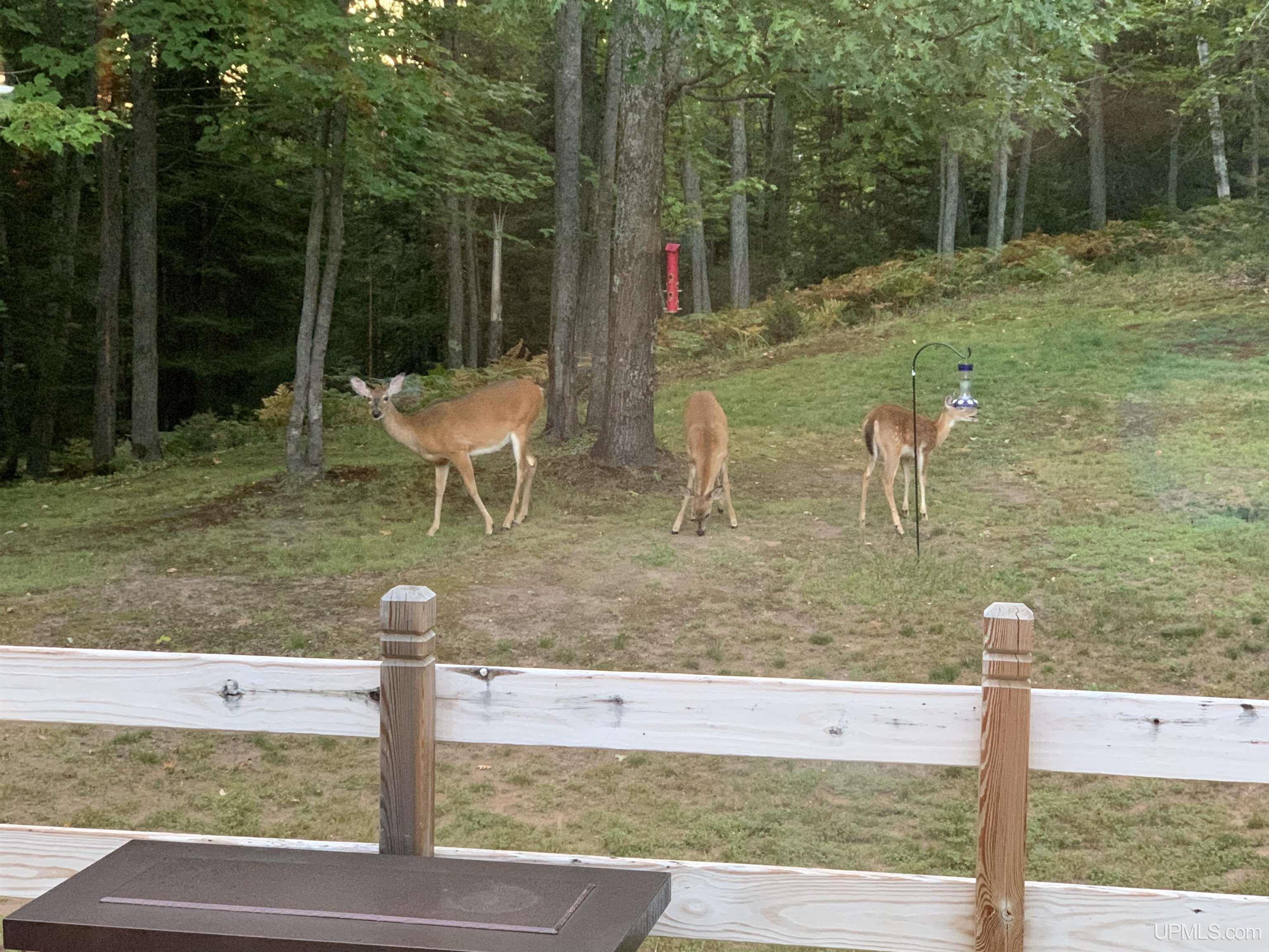 132 S Basin Drive, Negaunee, MI, 49866