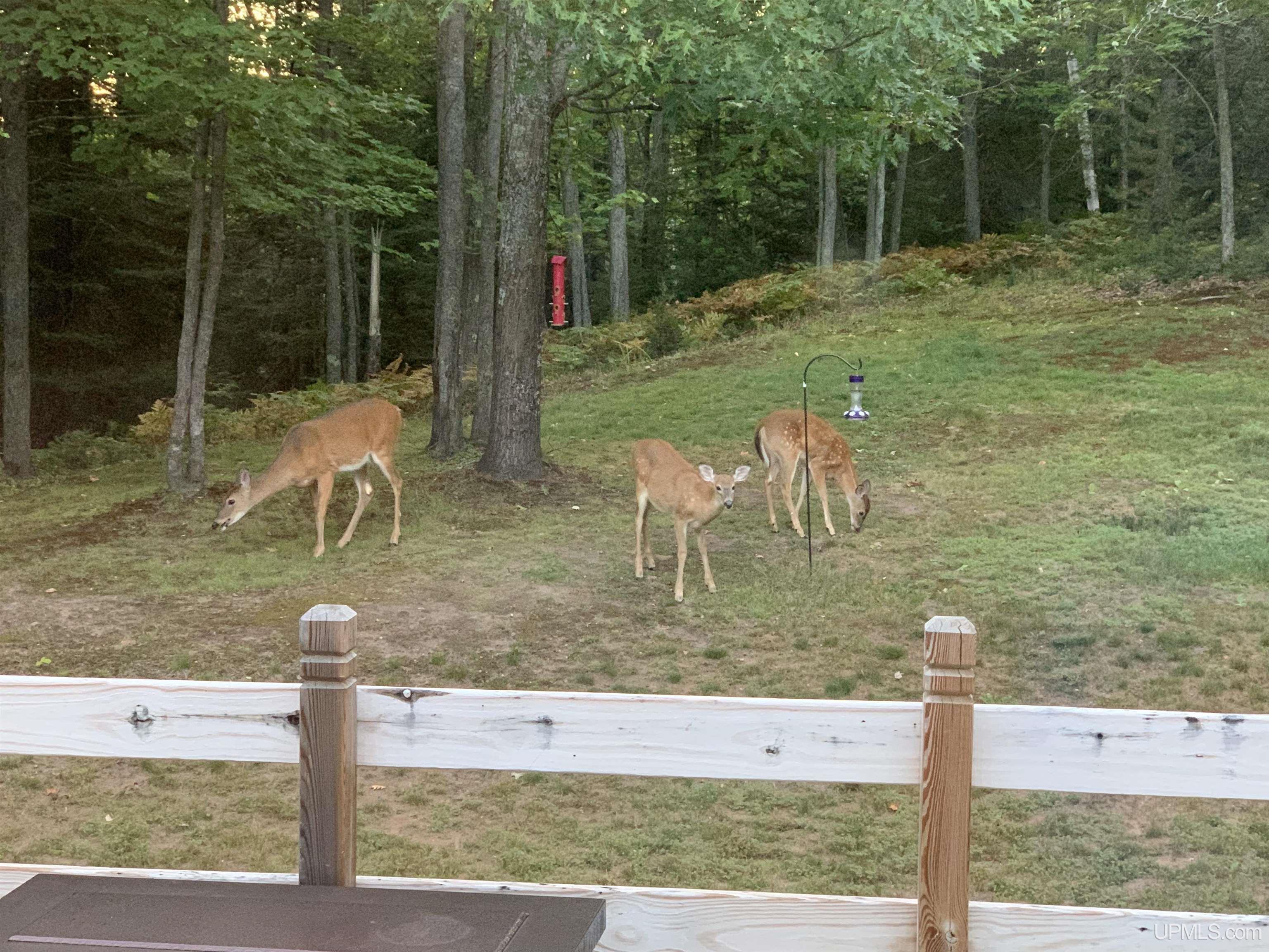 Homes for sale in Negaunee, MI | 132 S Basin Dr, Negaunee, MI 49866 | MLS# 50195670