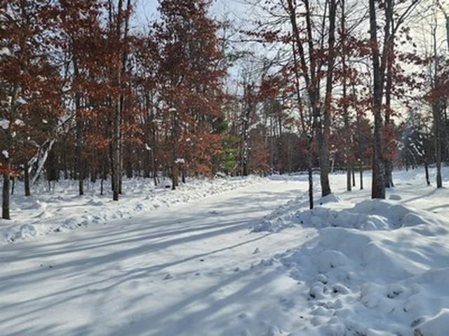 Roscommon, MI, 48653