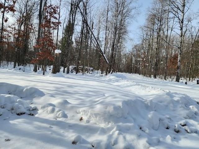 Roscommon, MI, 48653