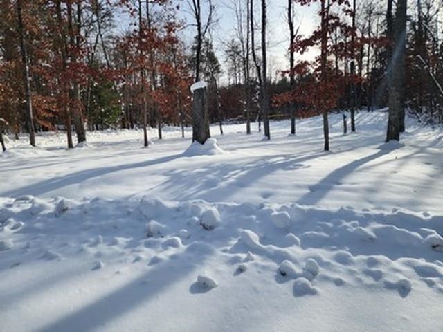 Roscommon, MI, 48653