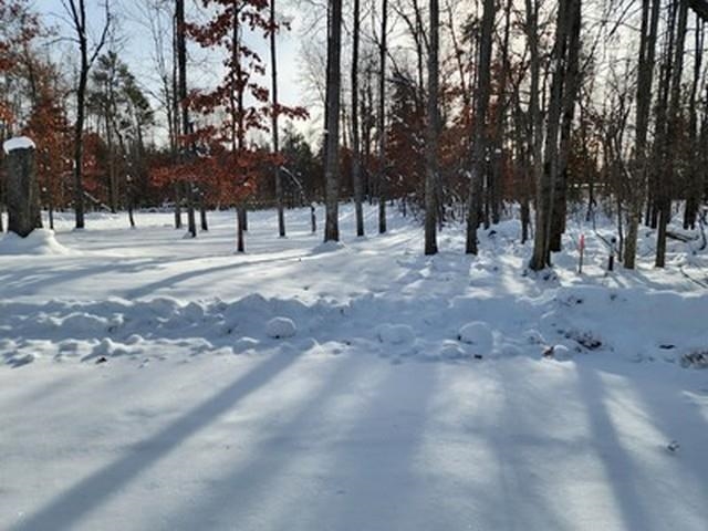 Roscommon, MI, 48653