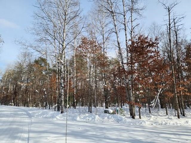 Roscommon, MI, 48653