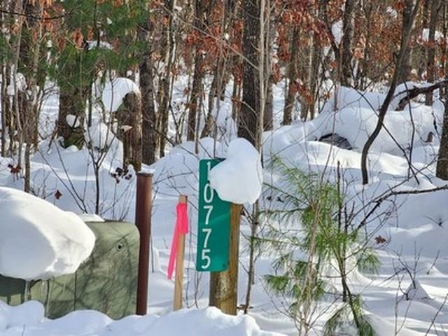 Roscommon, MI, 48653