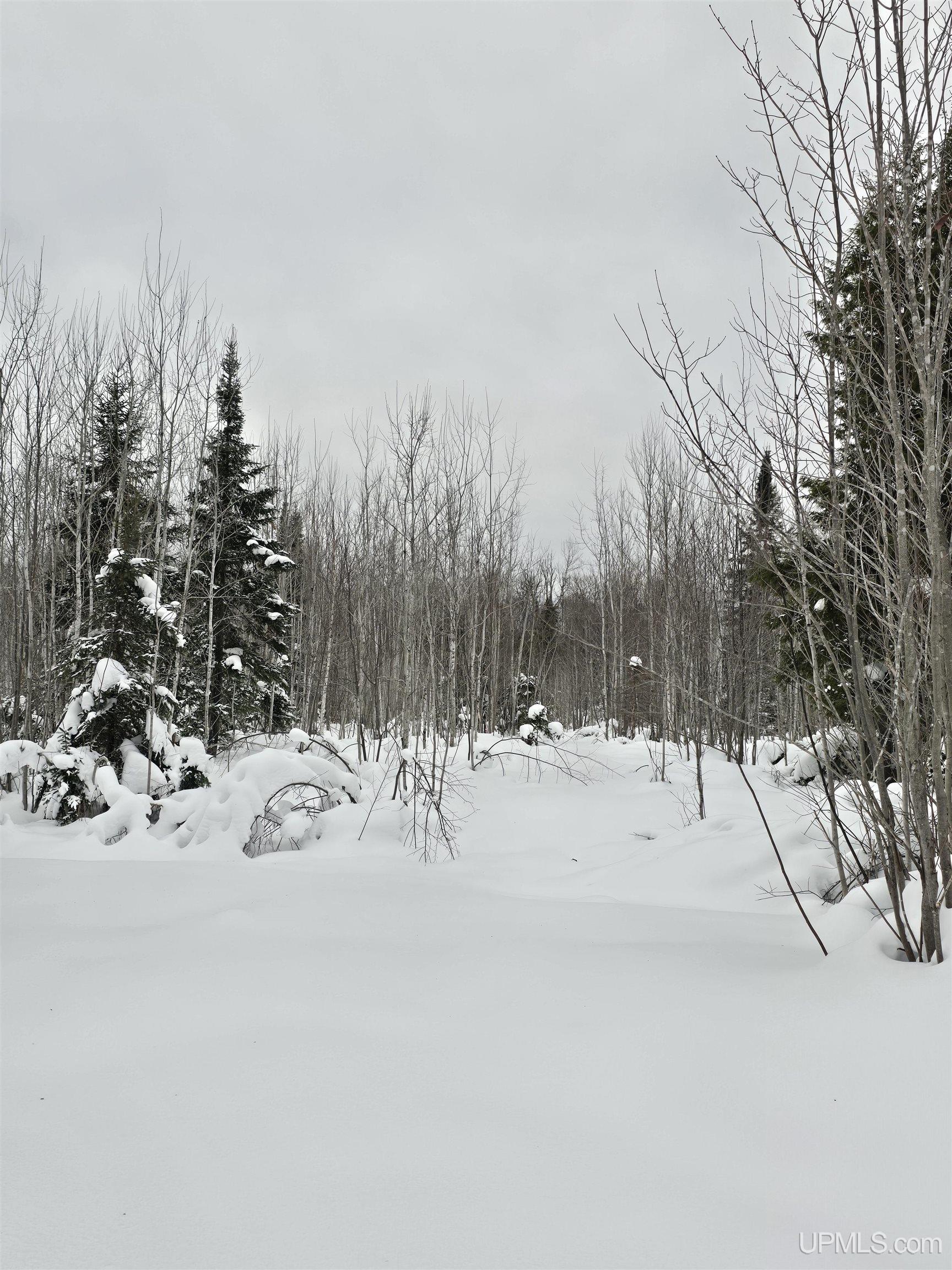 MLS 50196242 Large photo number 8 