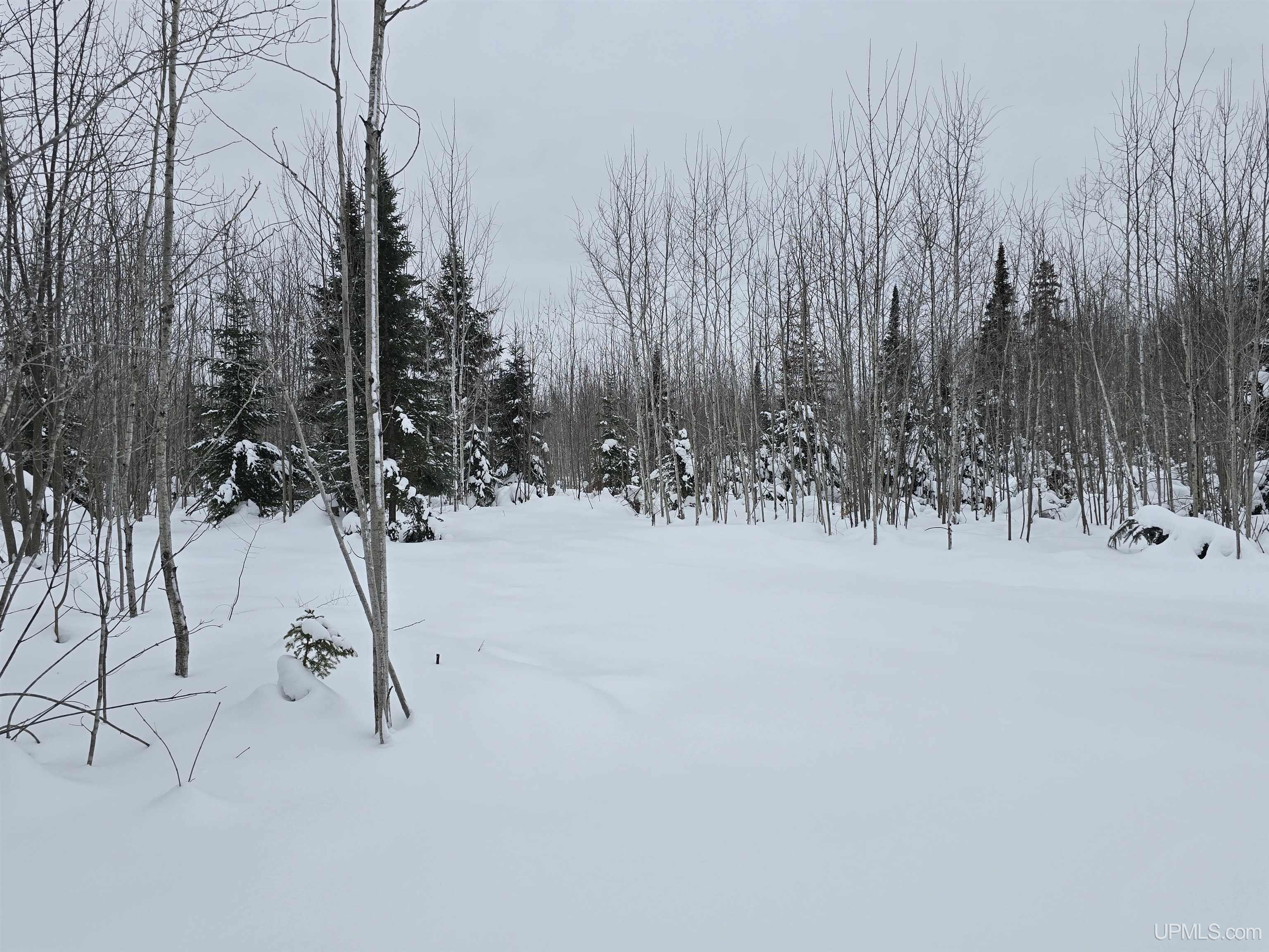 MLS 50196243 Large photo number 8 