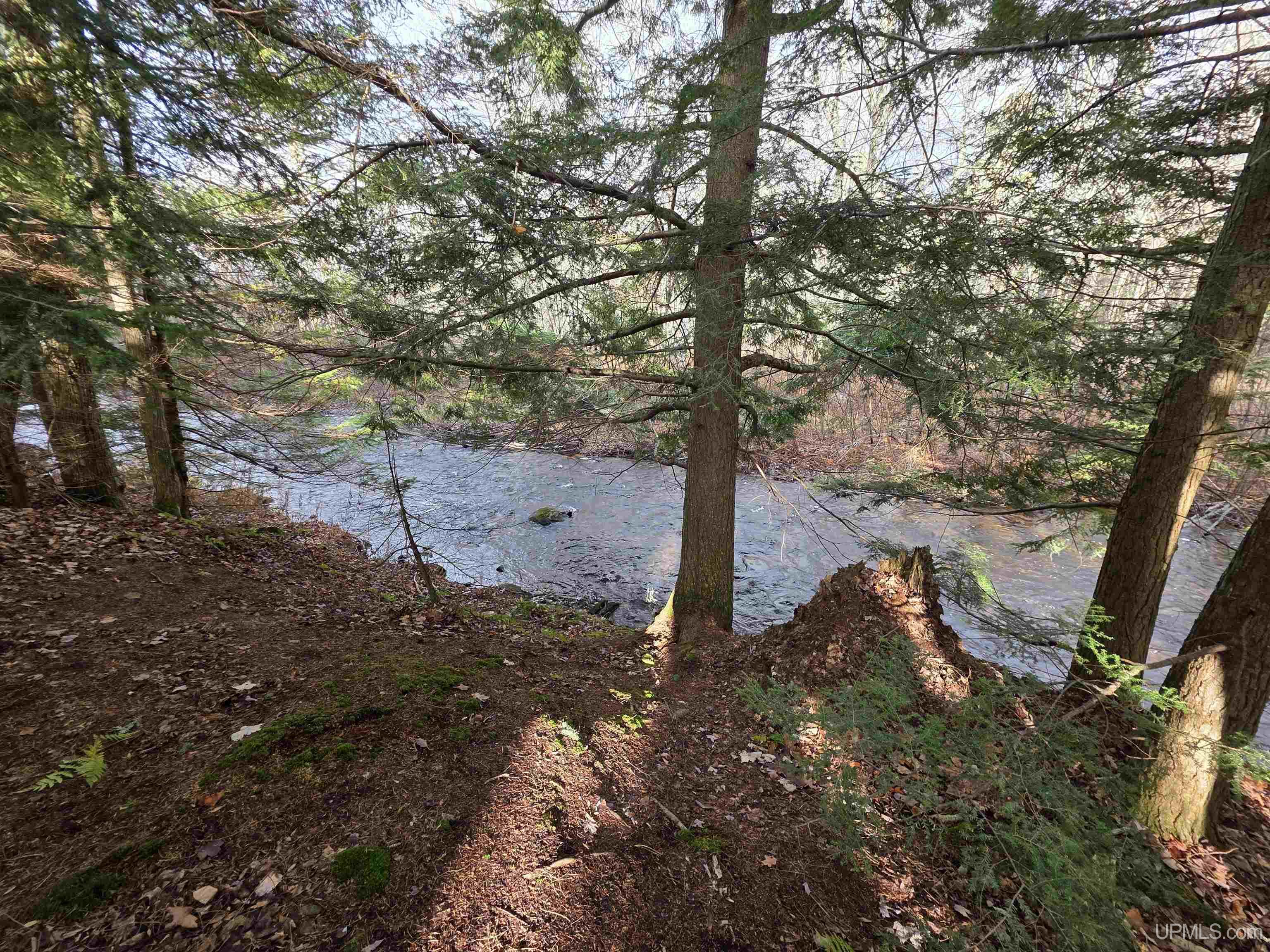 8285 Peter White Road, Deerton, MI, 49822