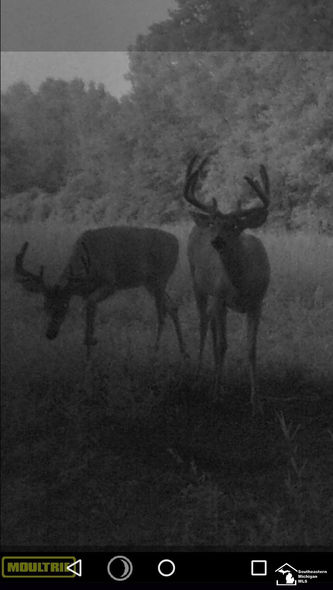 Stewart Road, Monroe, MI, 48162