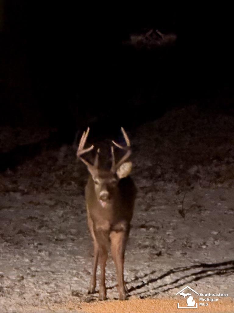 Stewart Road, Monroe, MI, 48162