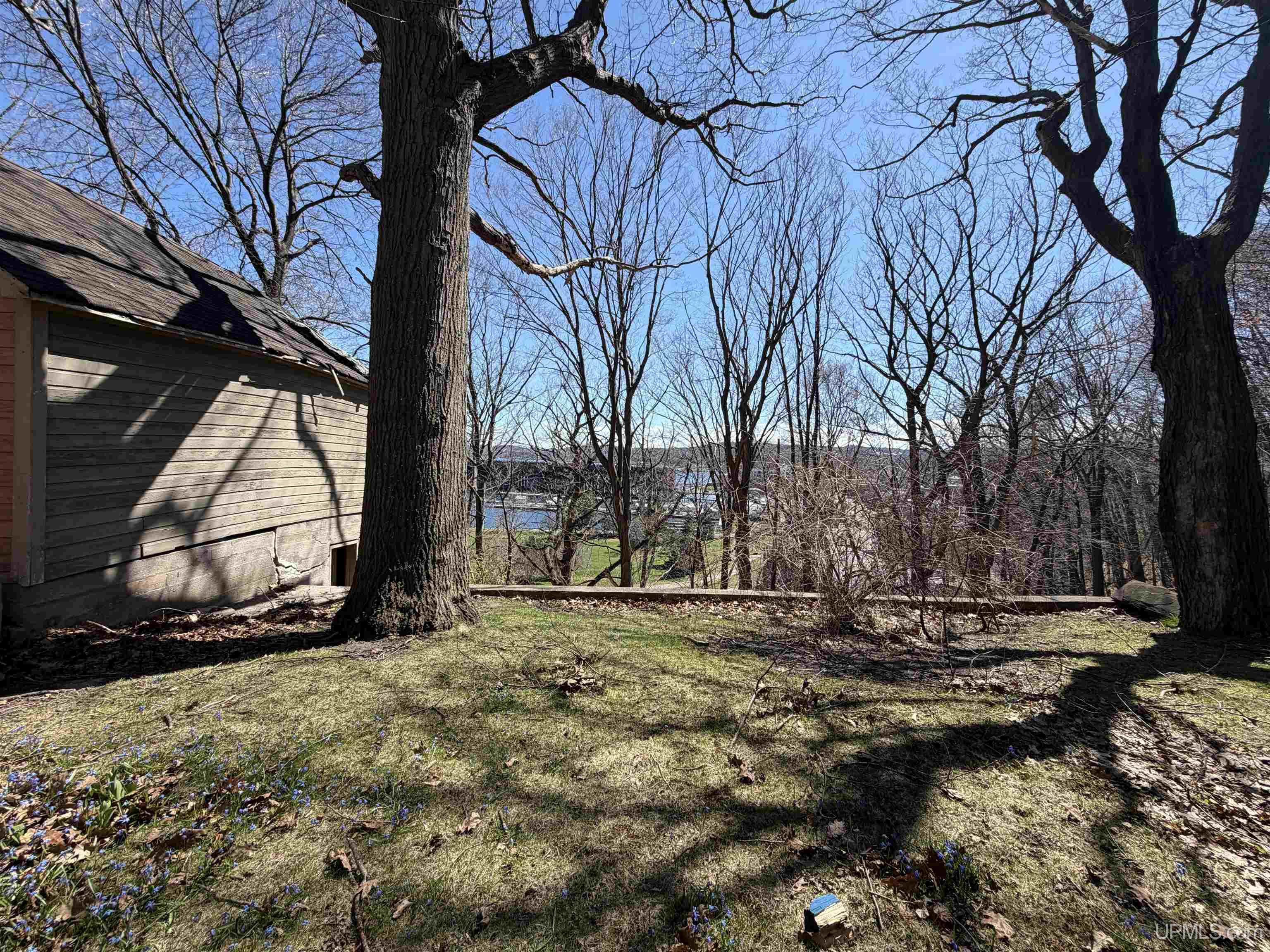 MLS 50197260 Large photo number 91 
