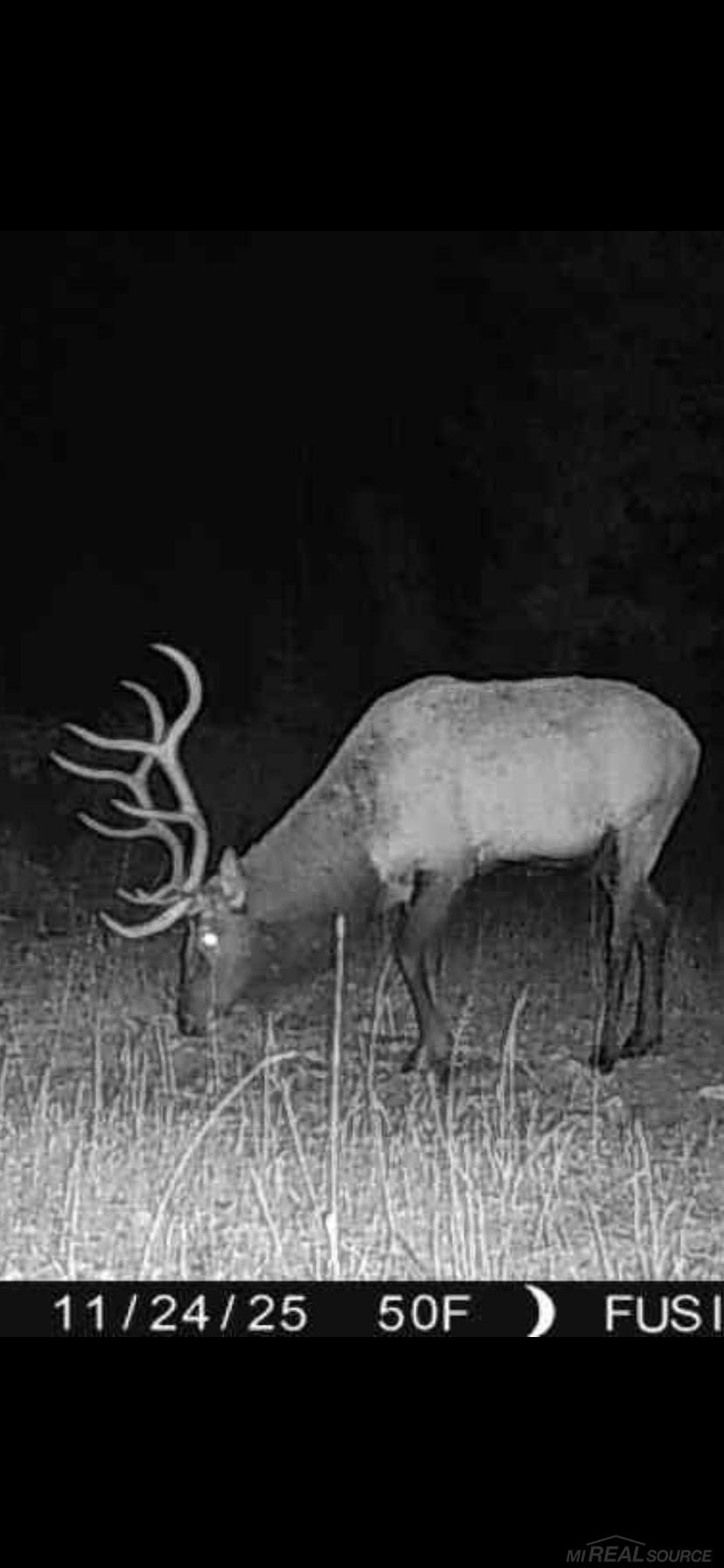 Homes for sale in Afton, MI | 4205 Stoney Creek Rd, Afton, MI 49705 | MLS# 50197467