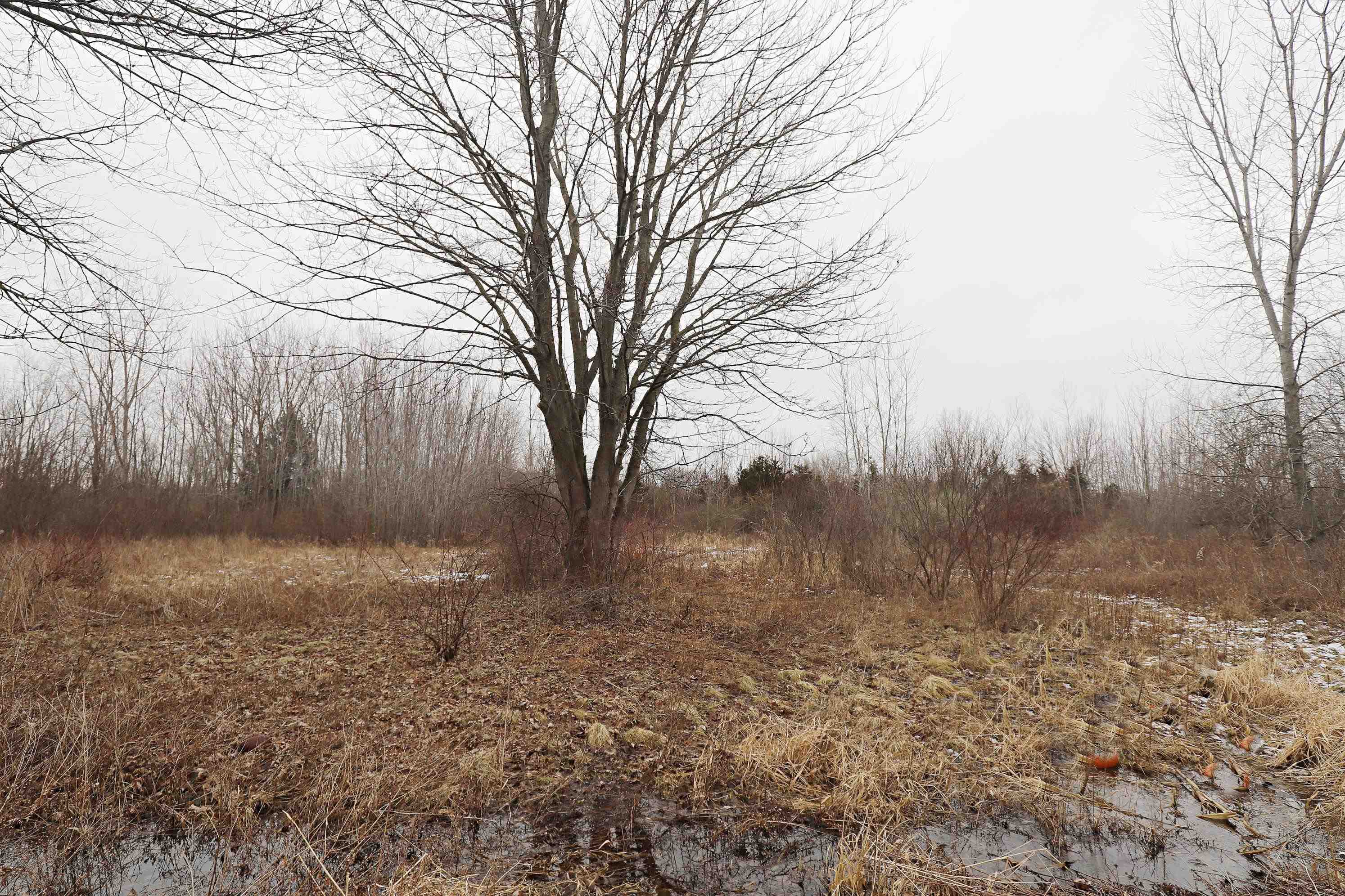 12803 Brady, Chesaning Twp, MI 48616 Photo